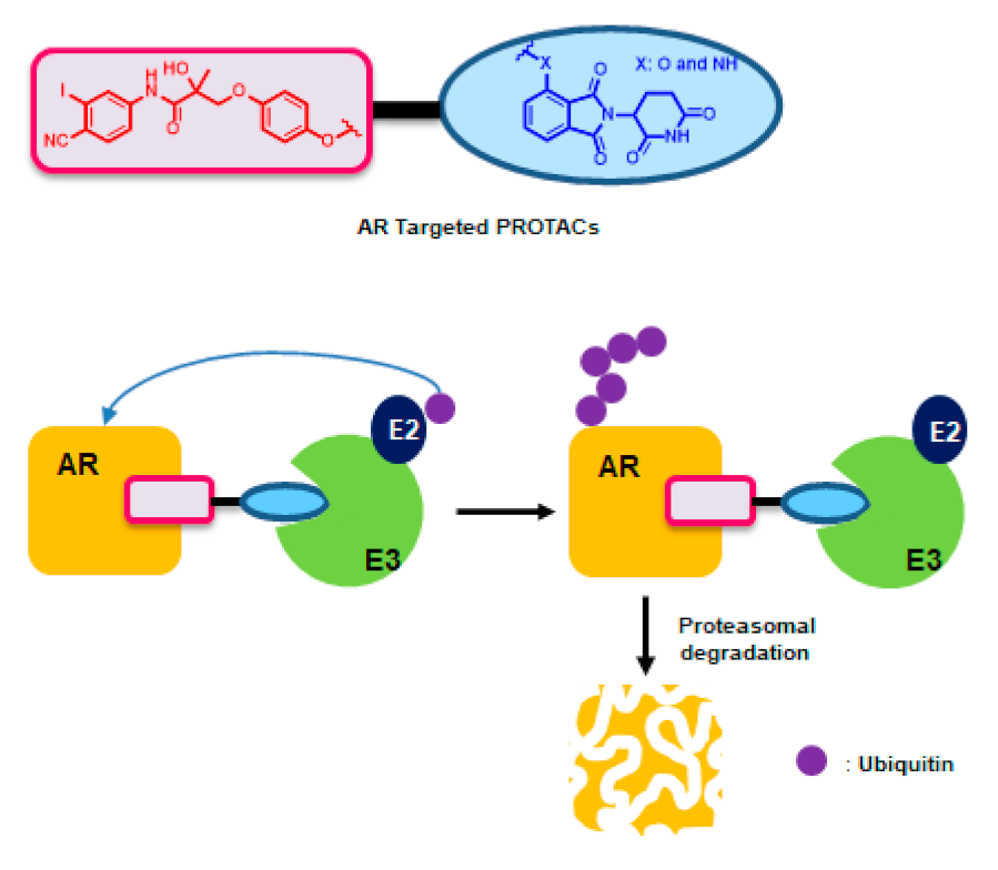 Molecules 26 02525 g002