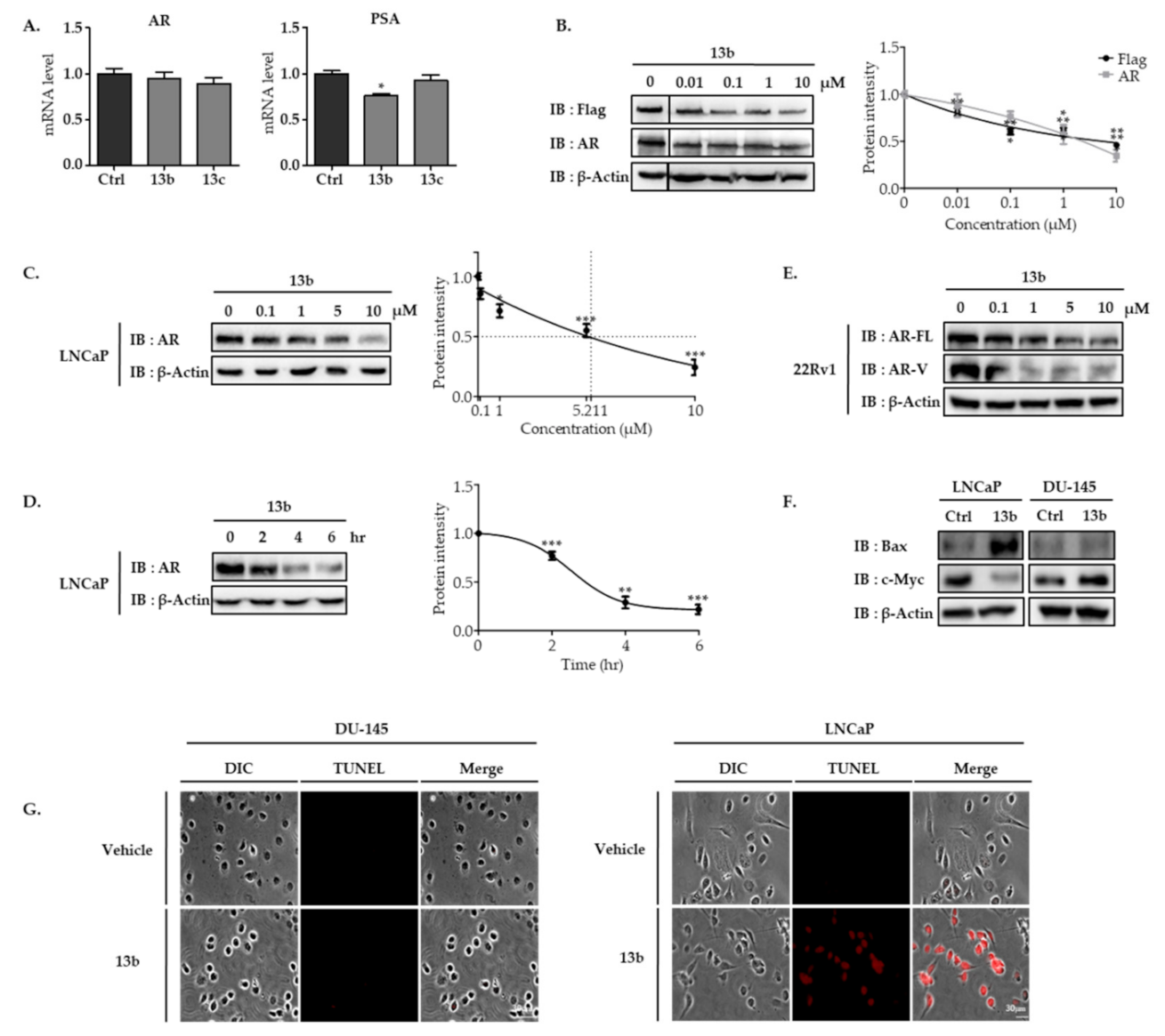 Molecules 26 02525 g004