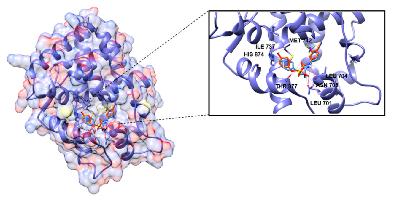 Molecules 26 02525 g005