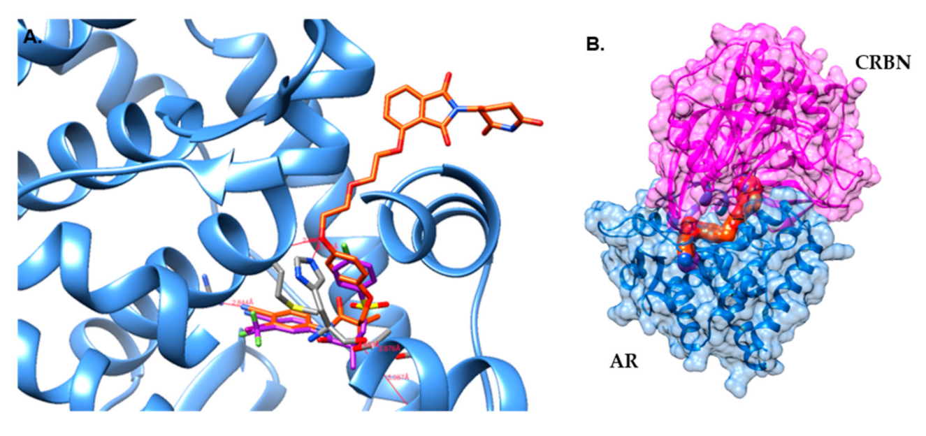 Molecules 26 02525 g006
