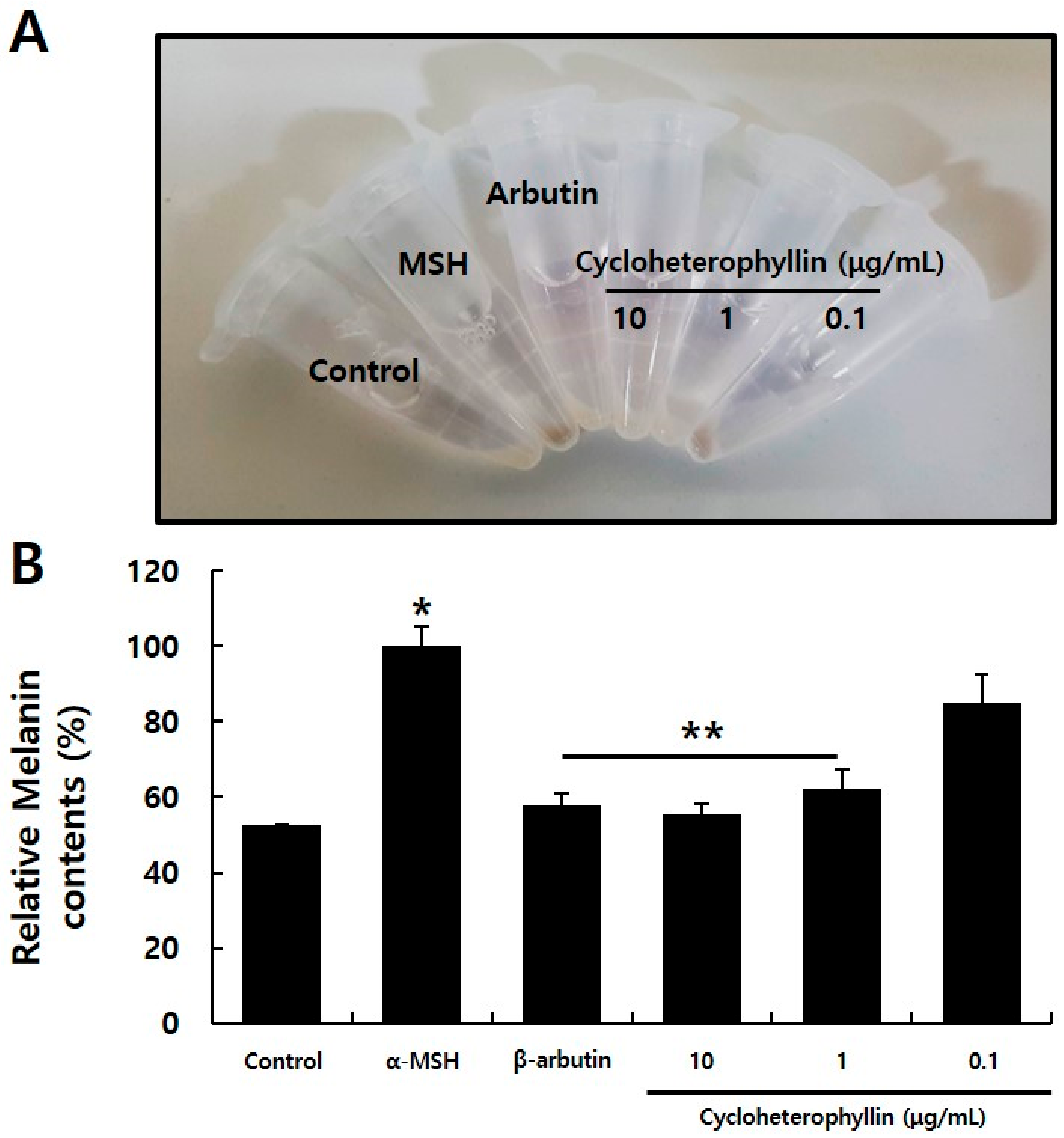 Molecules 26 02526 g004