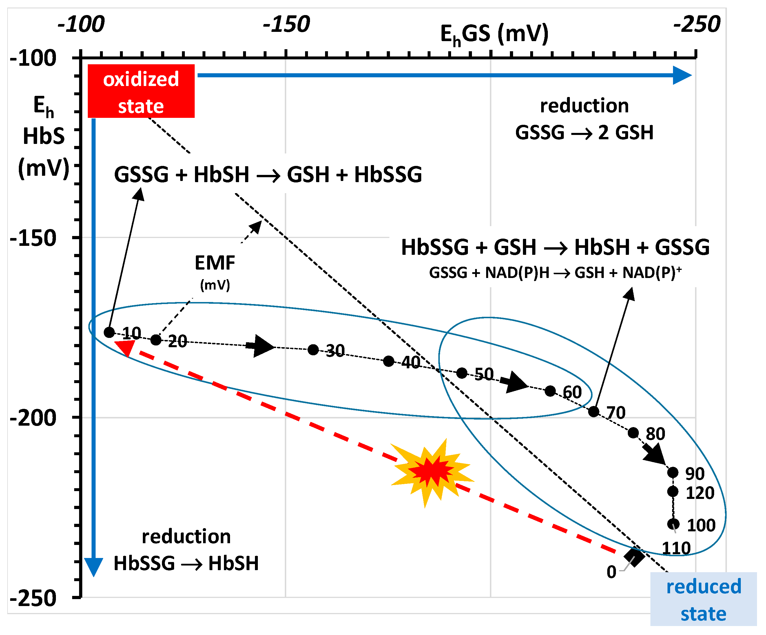 Molecules 26 02528 g005
