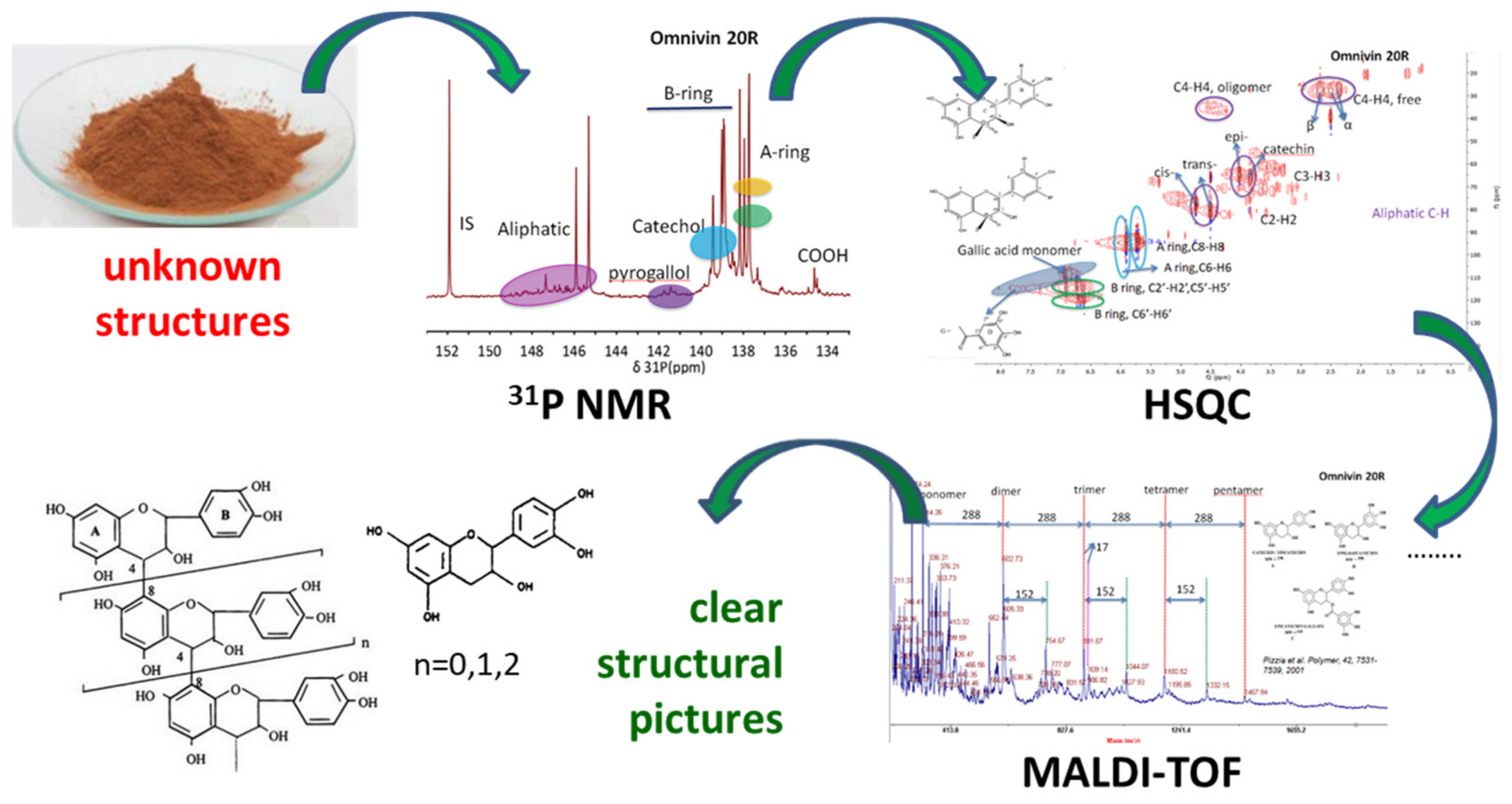 Molecules 26 02532 g001