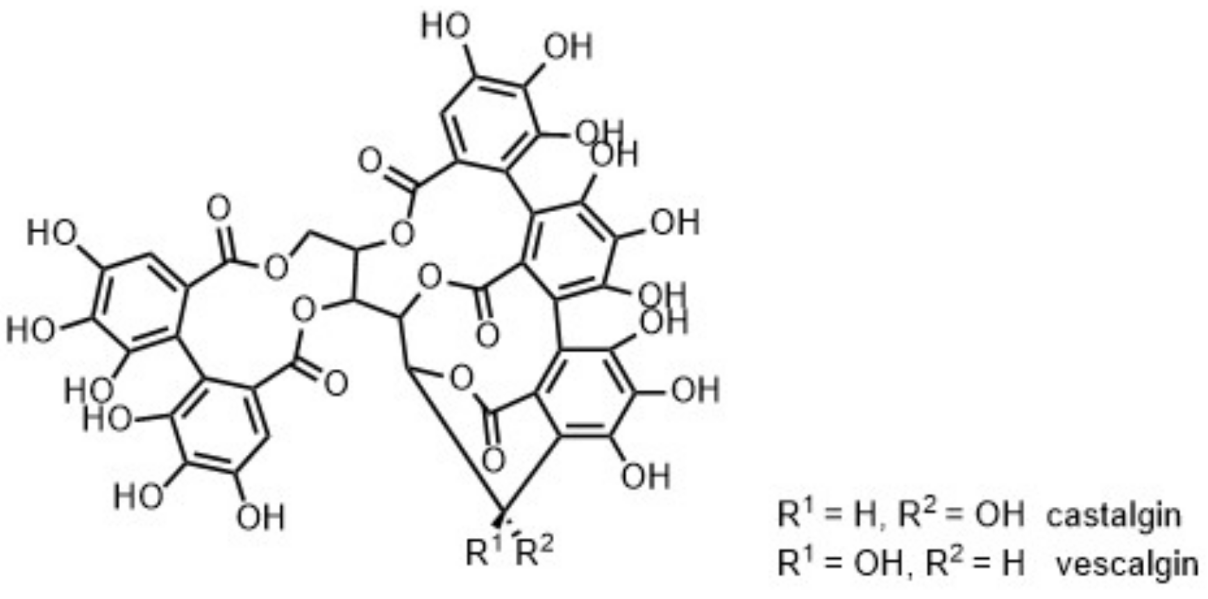 Molecules 26 02532 g008