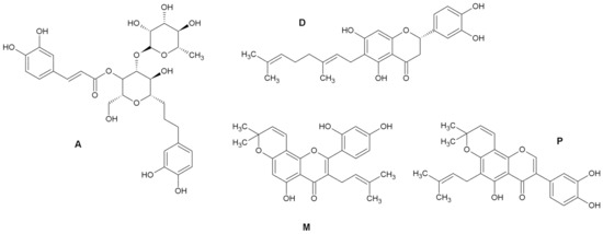 Molecules Free Full Text Direct And Indirect Antioxidant Effects Of Selected Plant Phenolics In Cell Based Assays Html