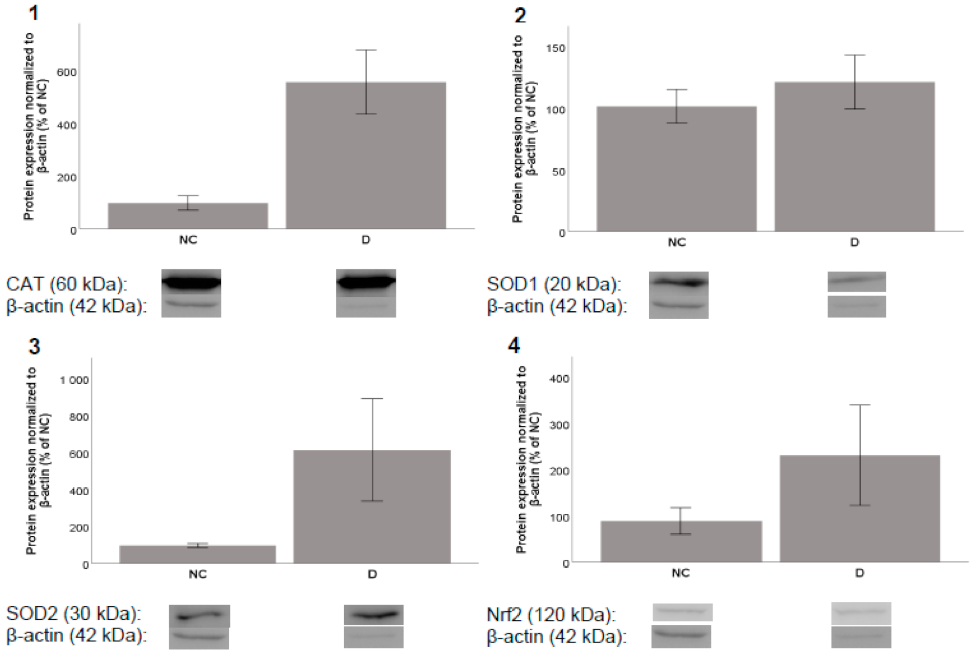 Molecules 26 02534 g005