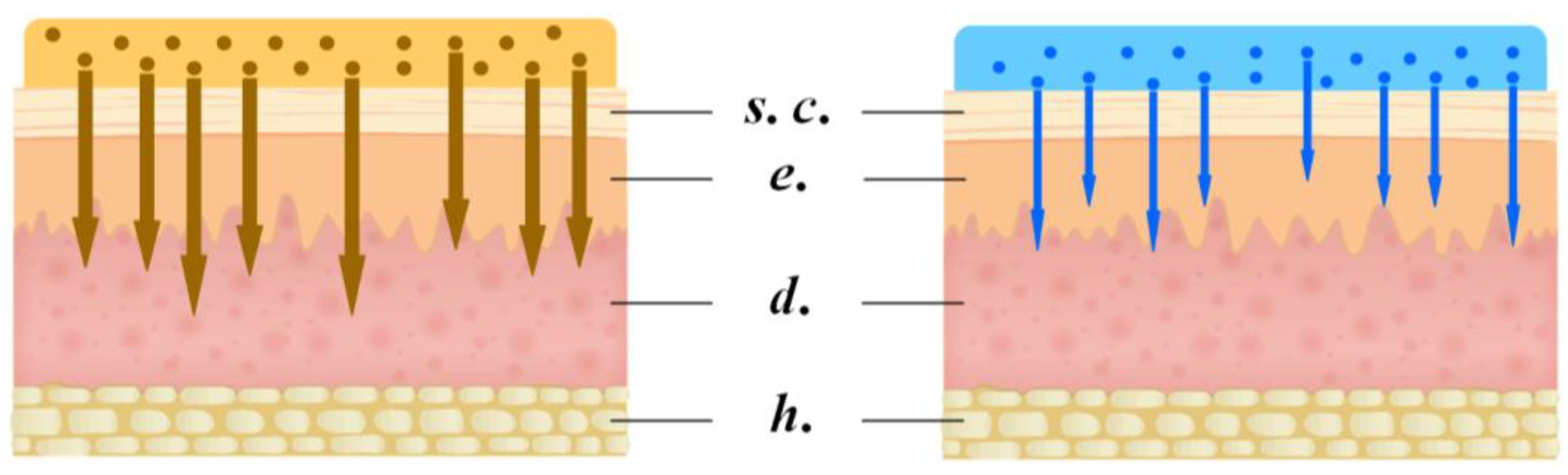 Molecules 26 02535 sch002 Molecules 26 02535 sch002