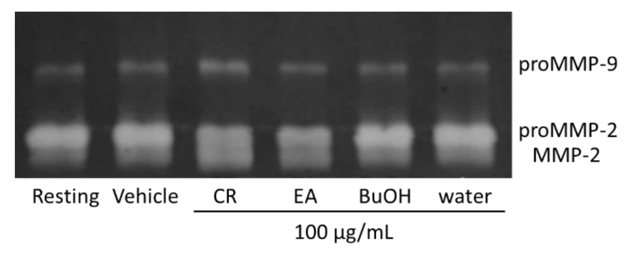 Molecules 26 02537 g001