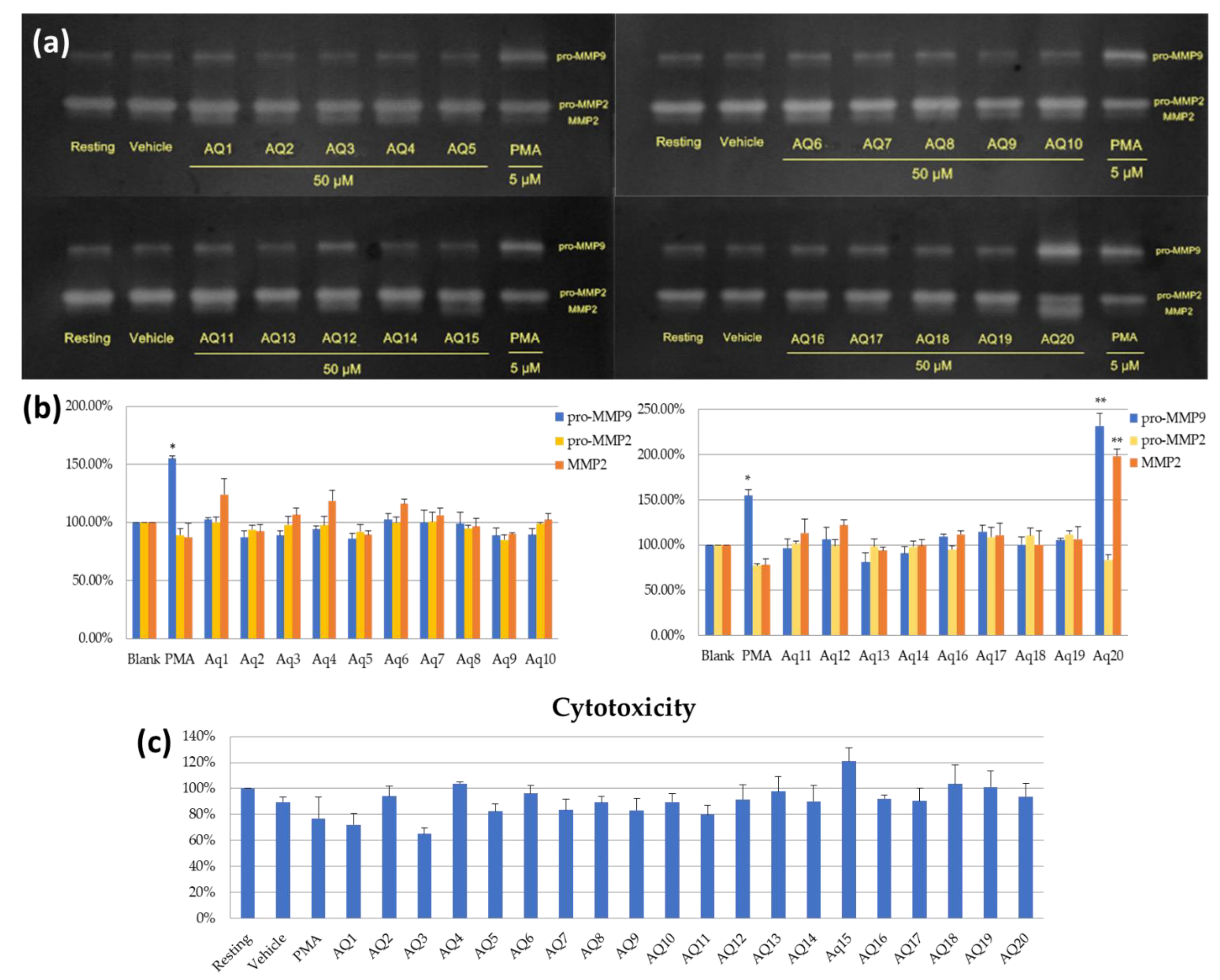 Molecules 26 02537 g004
