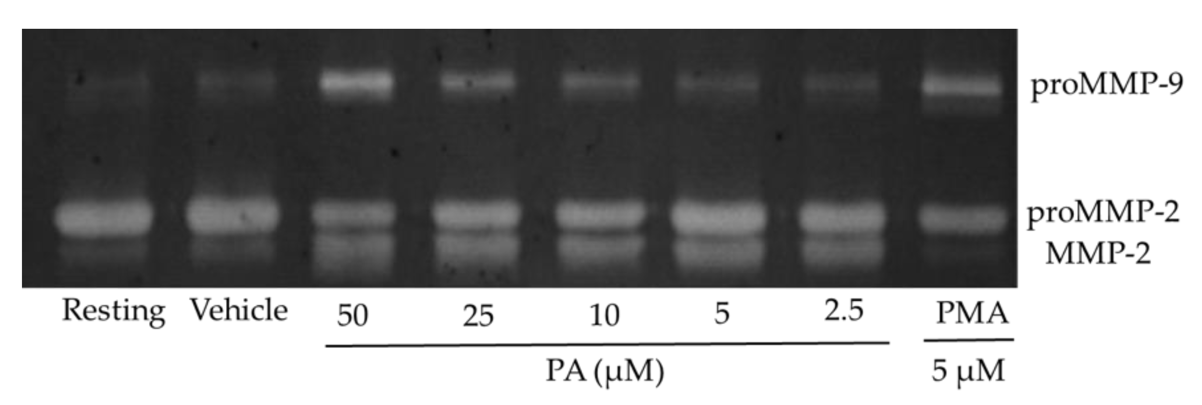 Molecules 26 02537 g005