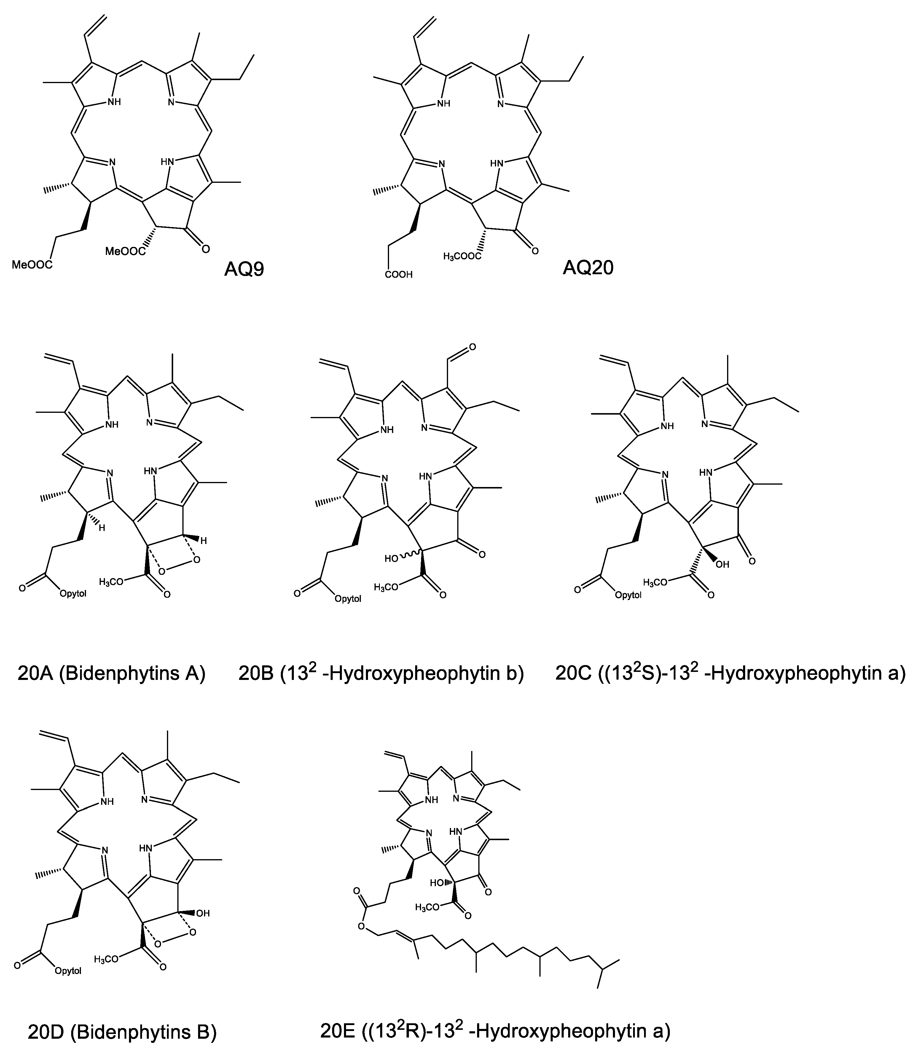 Molecules 26 02537 g006