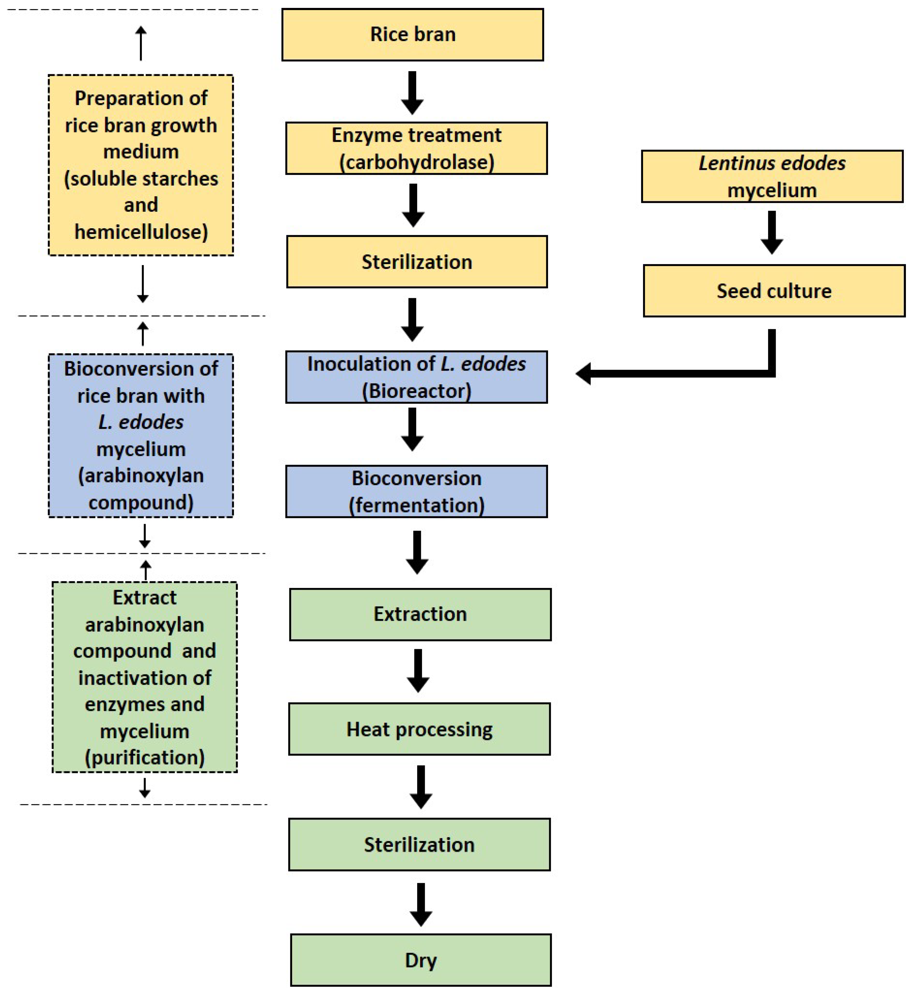 Molecules 26 02539 g002 Molecules 26 02539 g002