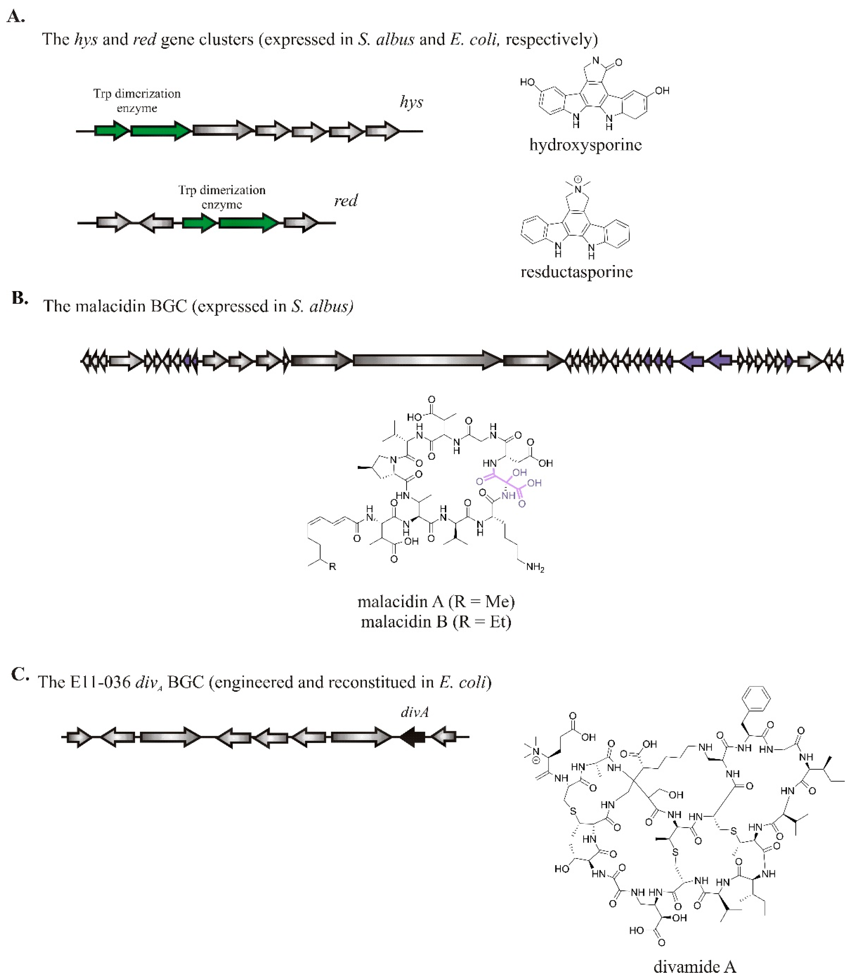 Molecules 26 02542 g003