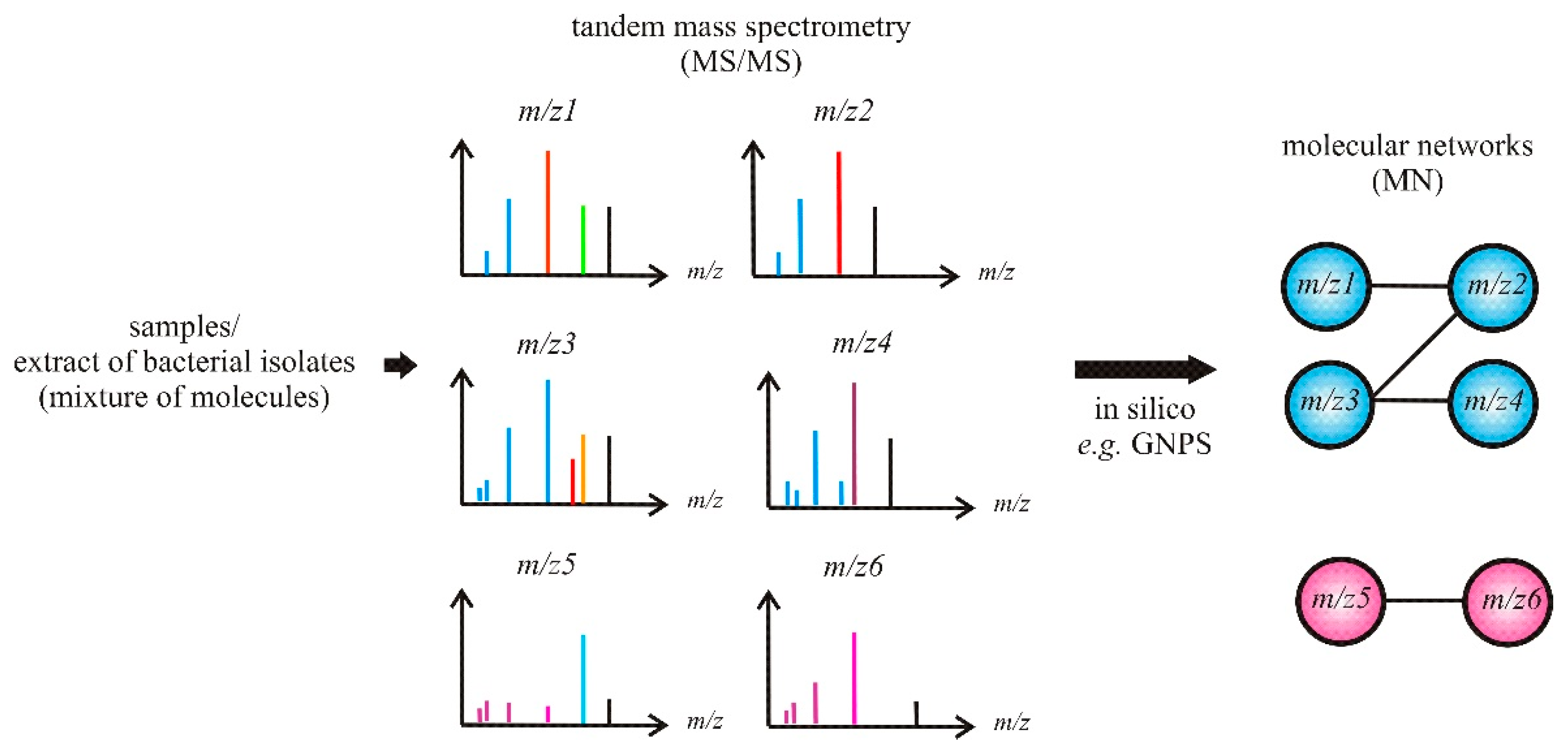 Molecules 26 02542 g004