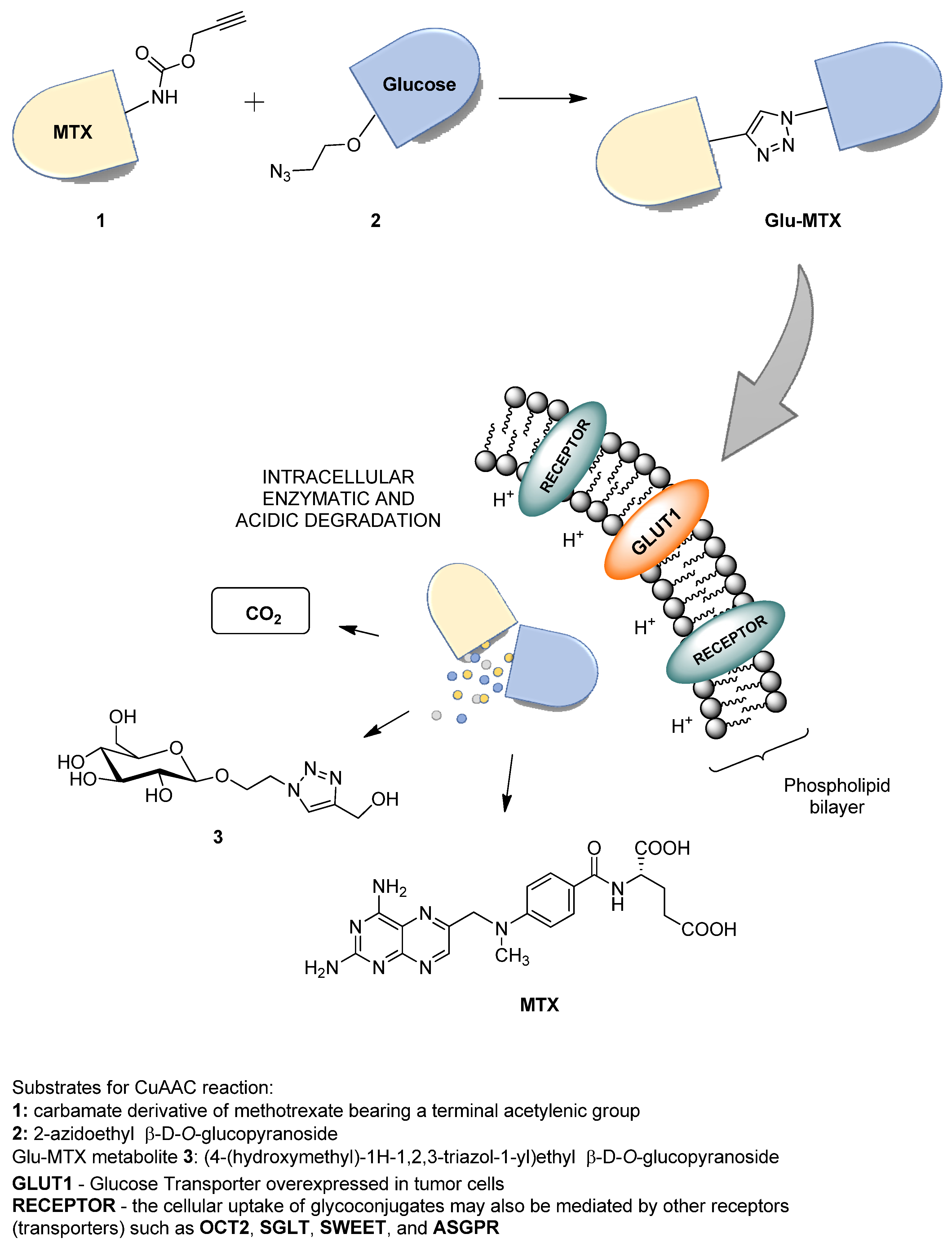 Molecules 26 02547 g001