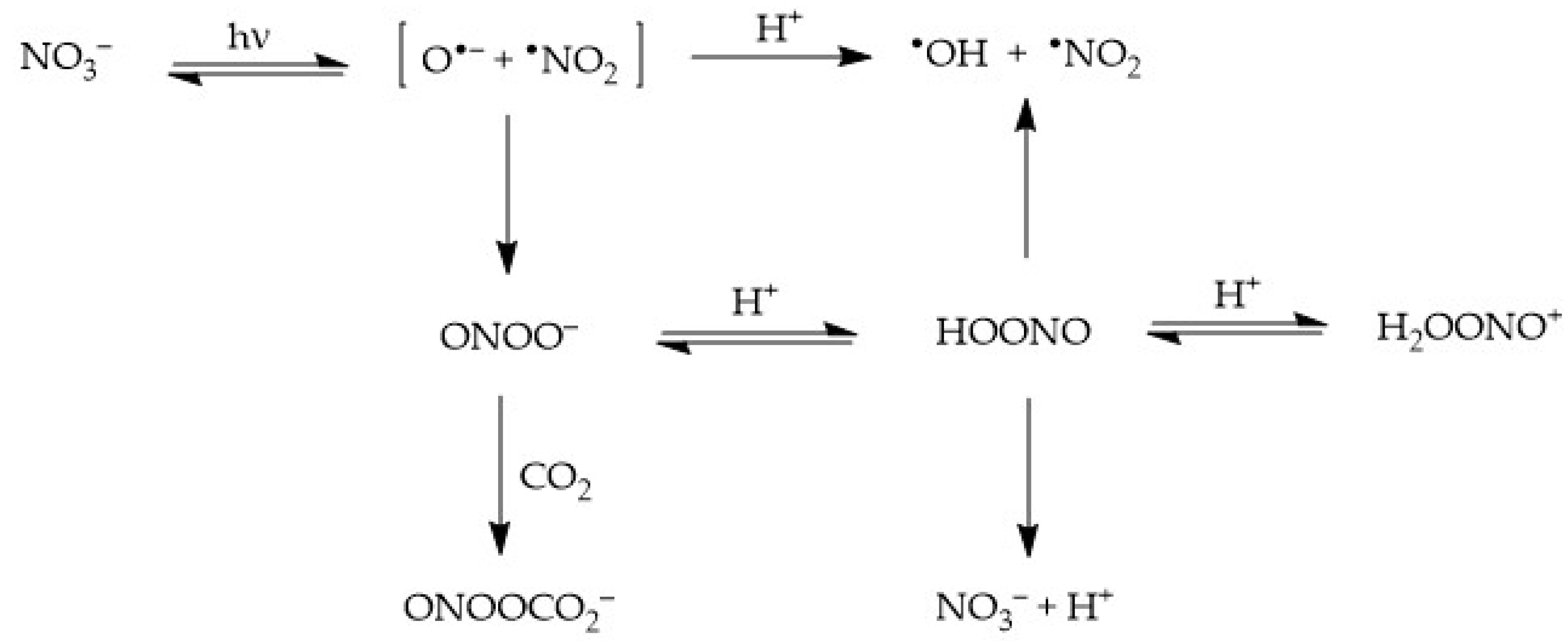 Molecules 26 02550 sch001 Molecules 26 02550 sch001