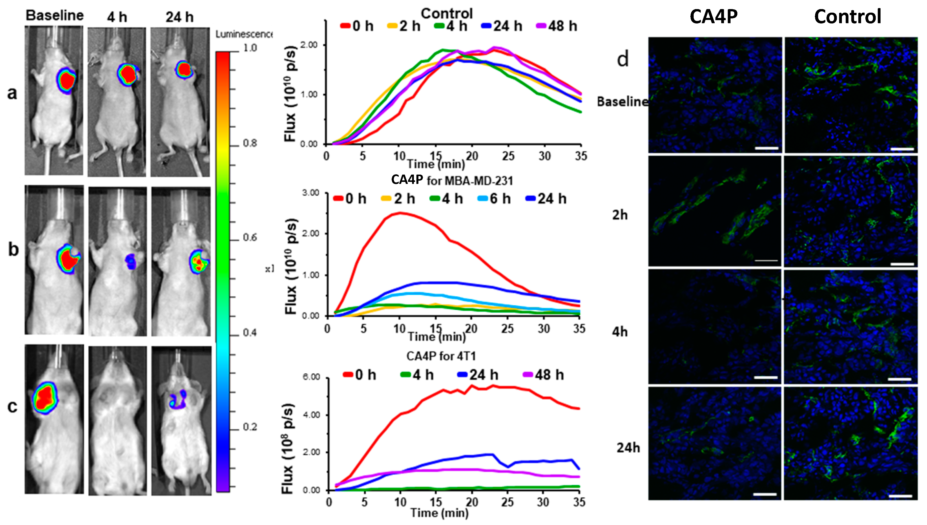 Molecules 26 02551 g003