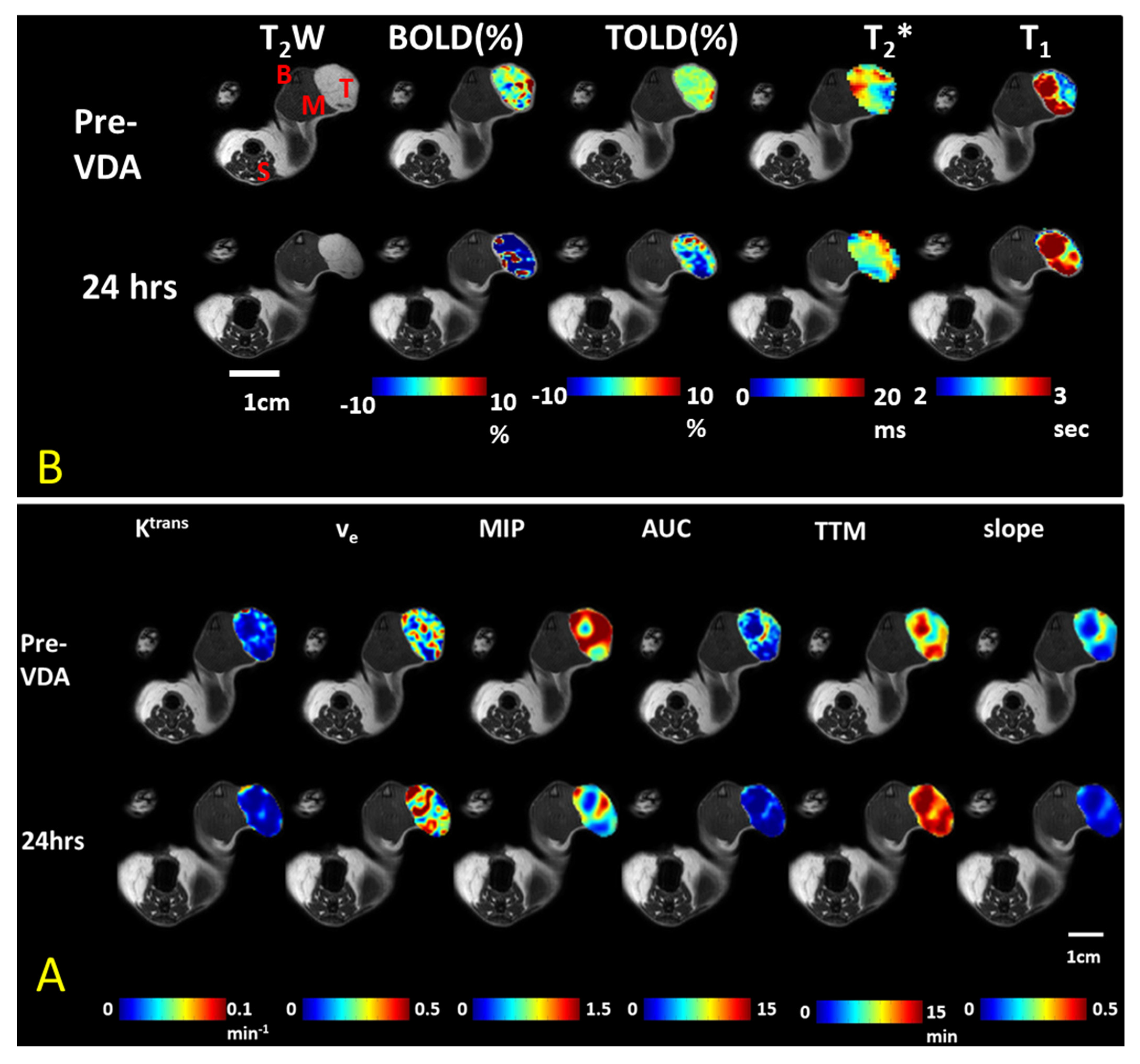 Molecules 26 02551 g007