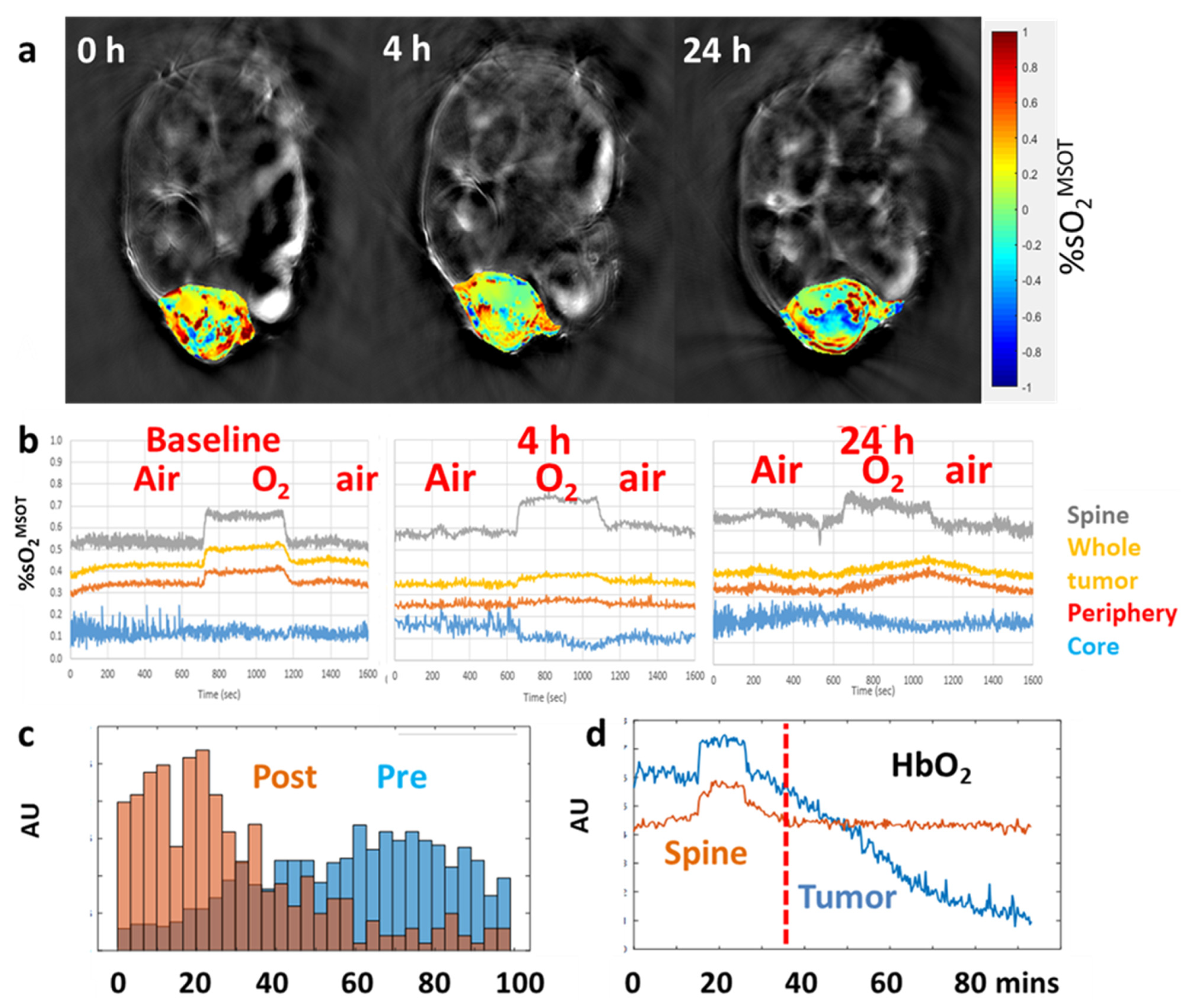Molecules 26 02551 g008