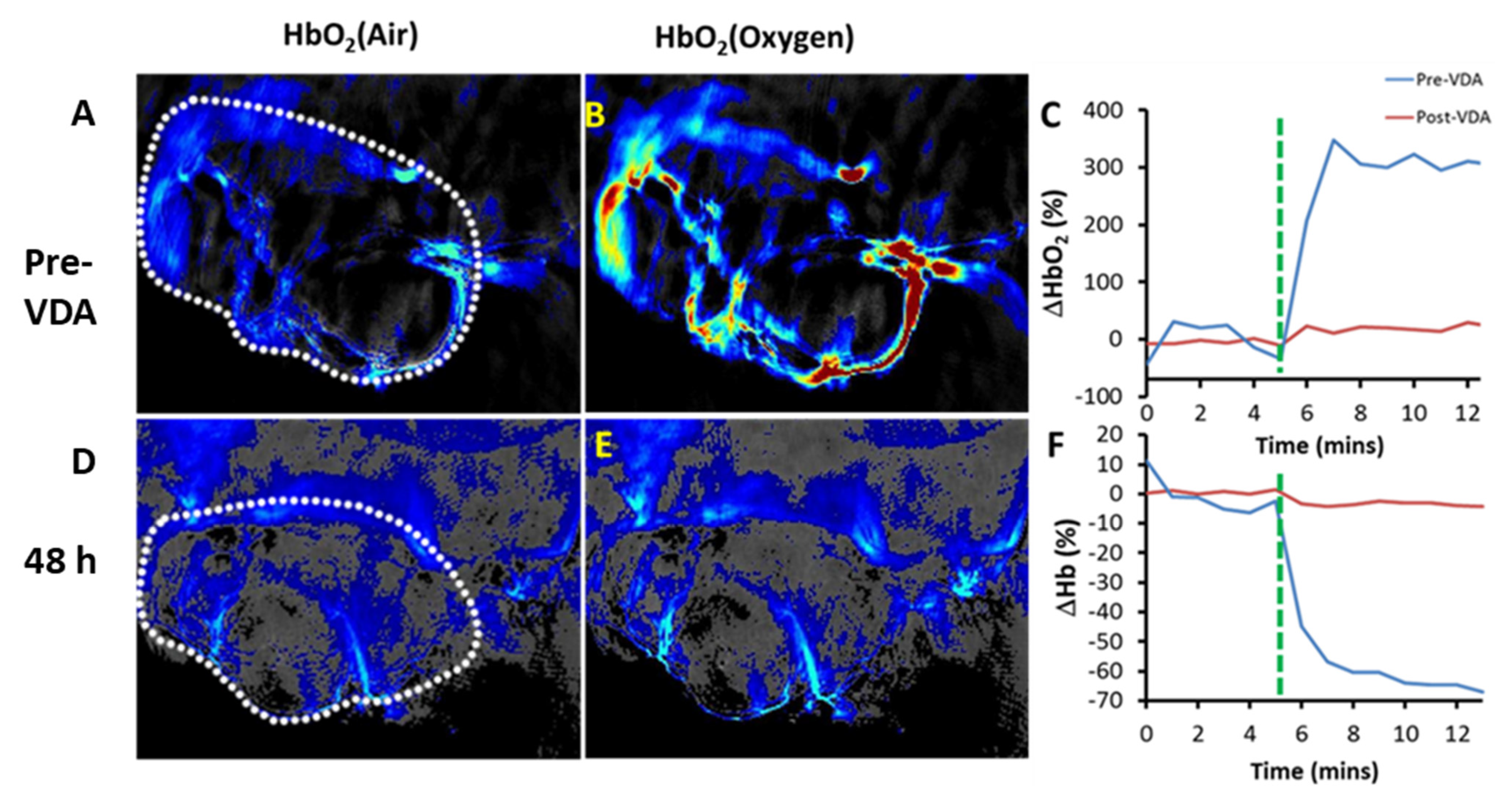 Molecules 26 02551 g010