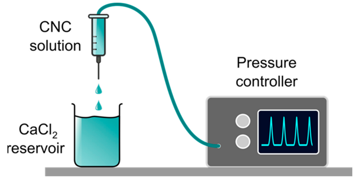 Molecules 26 02552 g002 Molecules 26 02552 g002