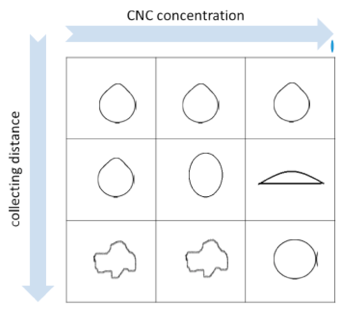 Molecules 26 02552 g003 Molecules 26 02552 g003
