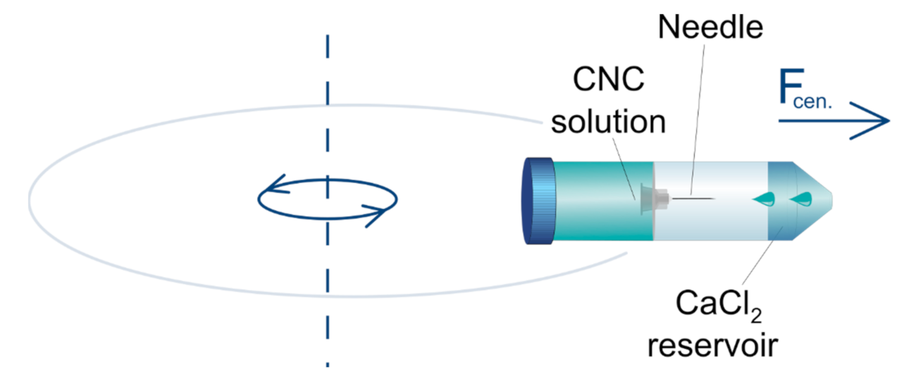 Molecules 26 02552 g004 Molecules 26 02552 g004