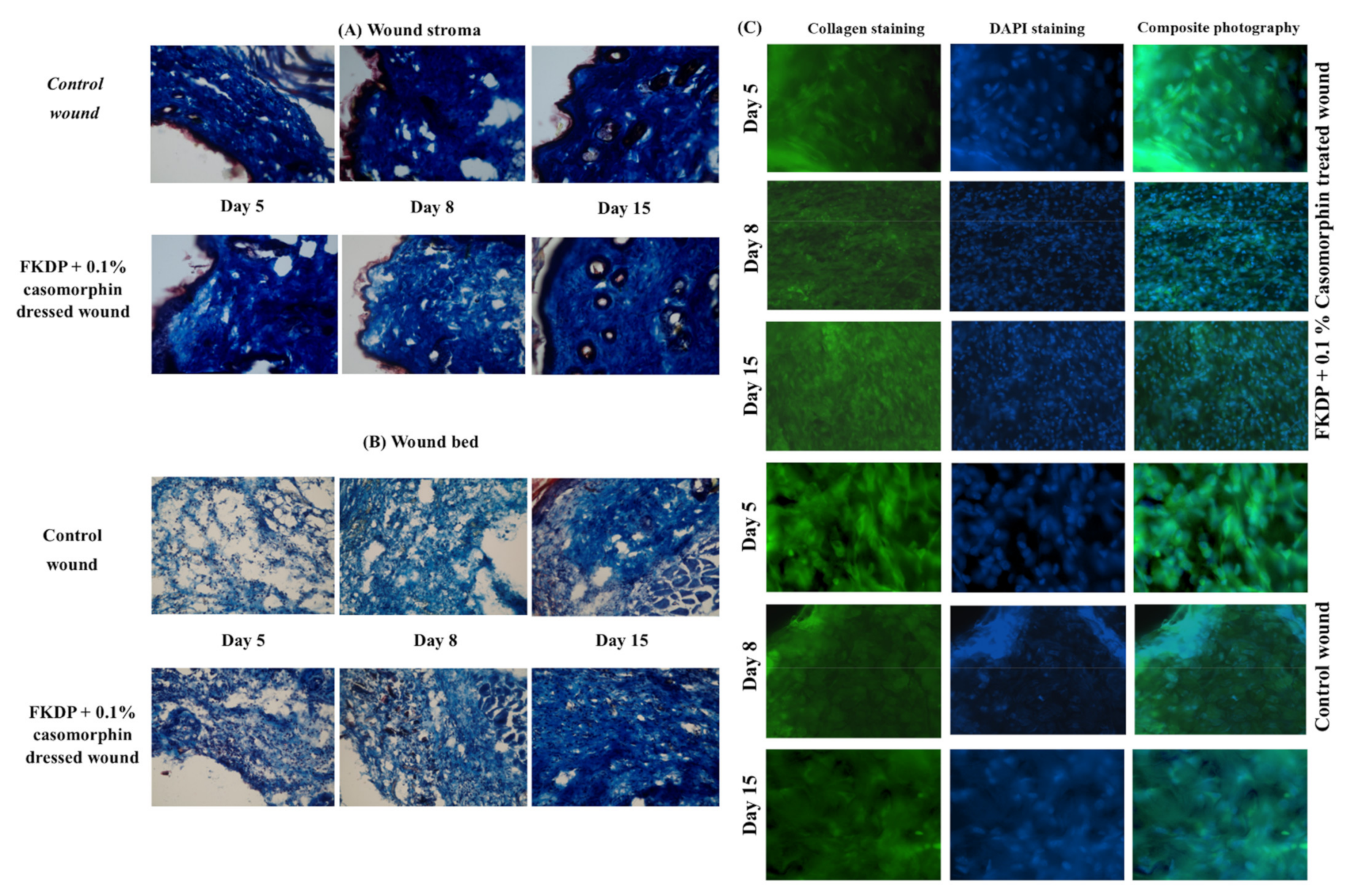 Molecules 26 02554 g004 Molecules 26 02554 g004