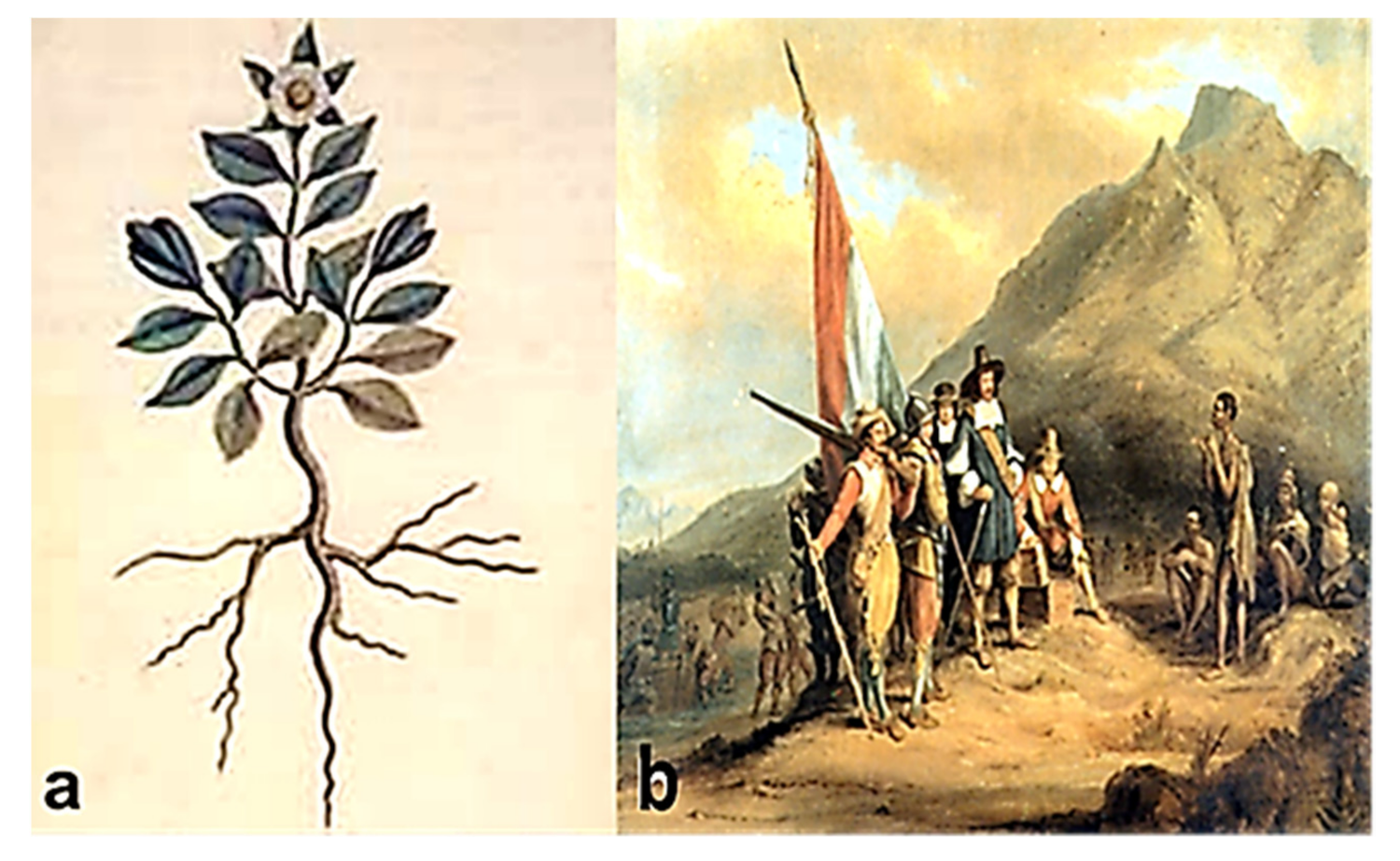 Molecules 26 02557 g001 Molecules 26 02557 g001