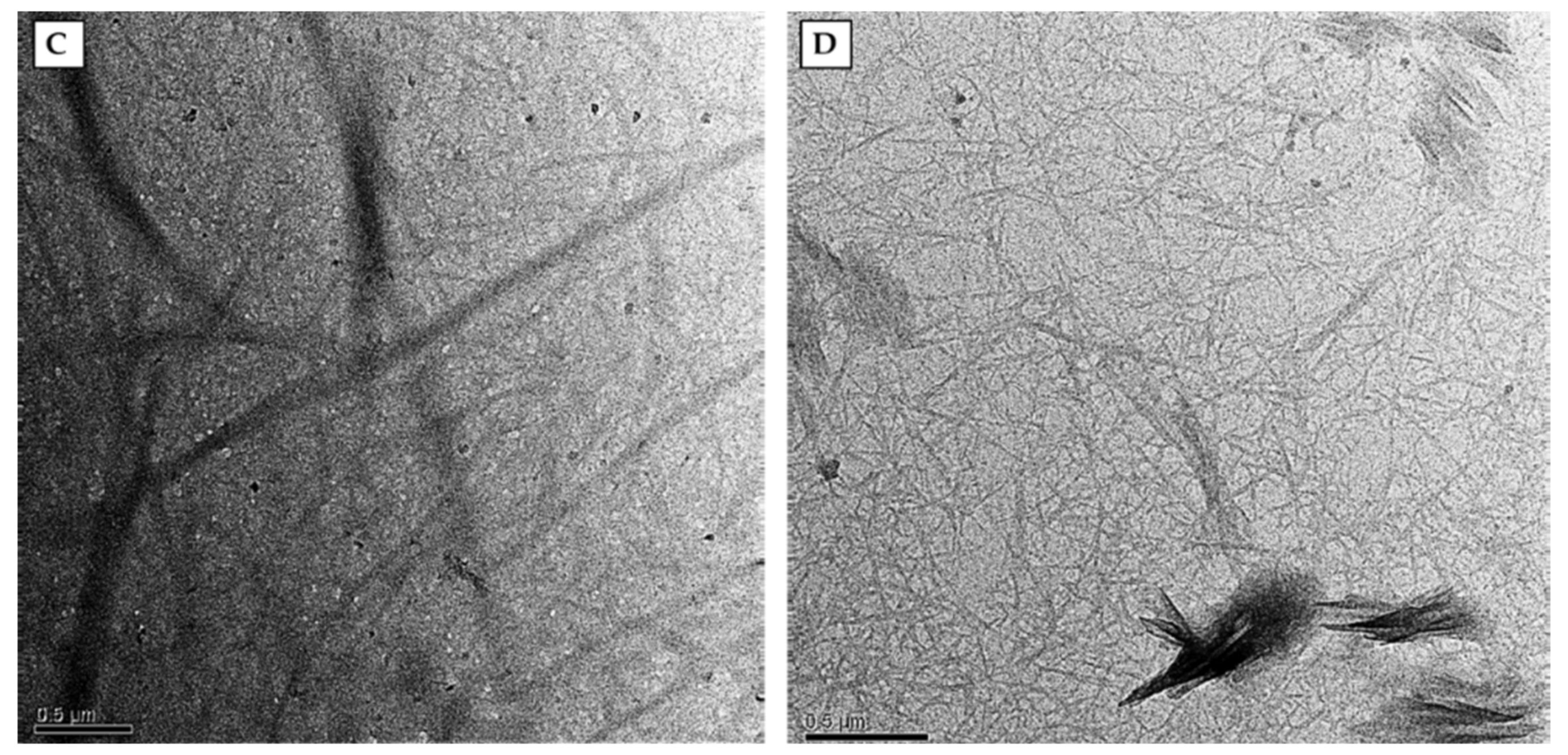 Molecules 26 02558 g002b