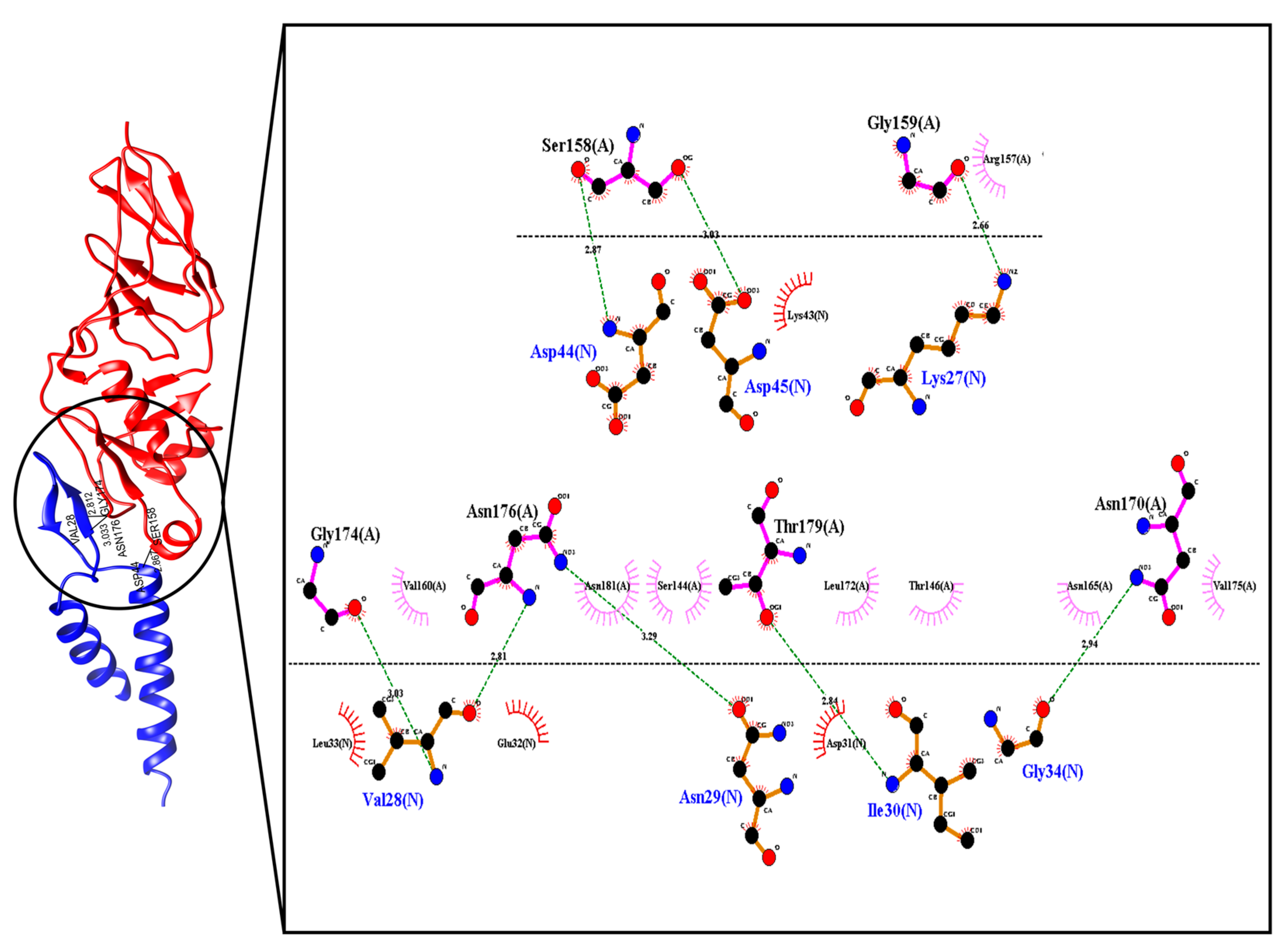 Molecules 26 02559 g001