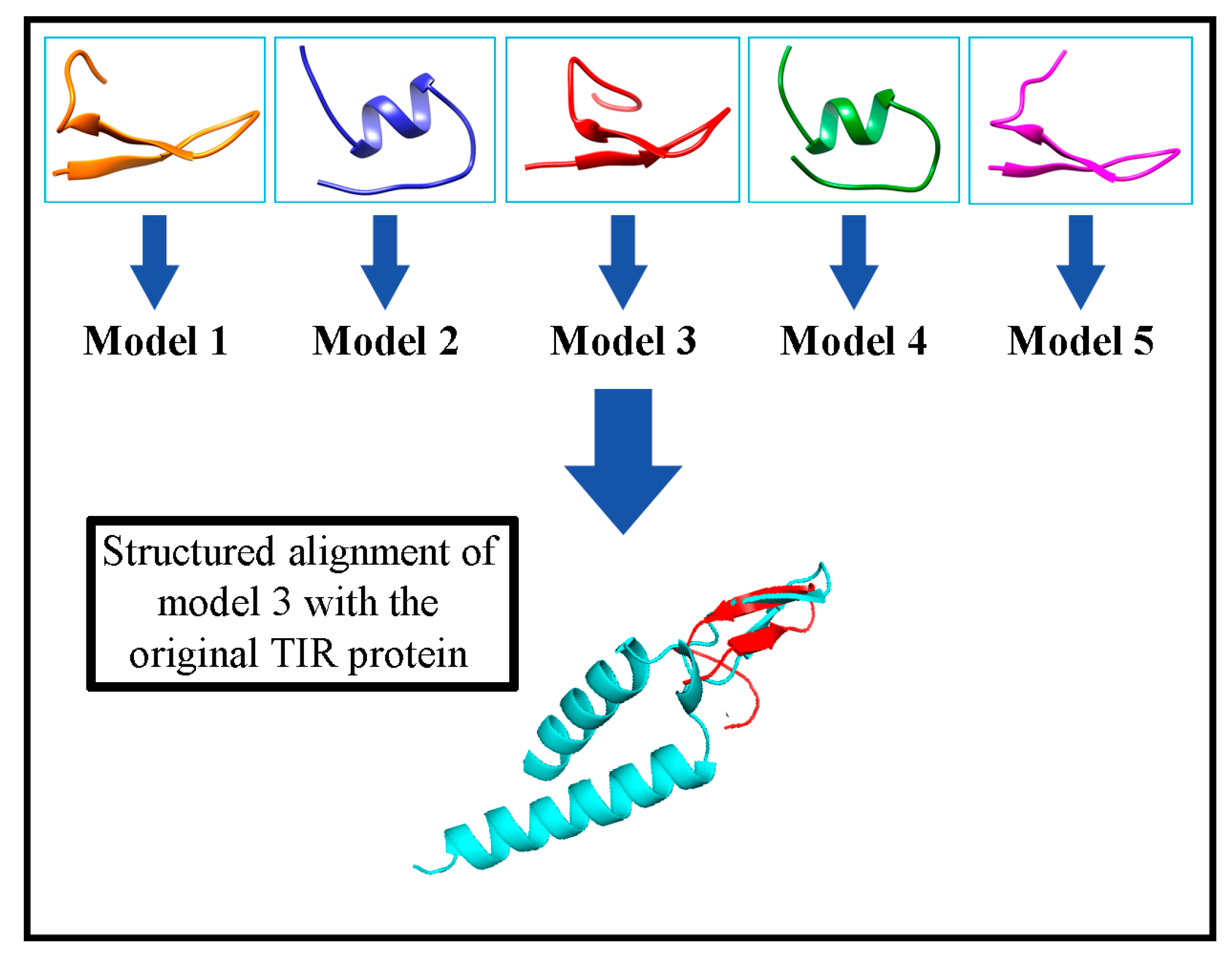 Molecules 26 02559 g002