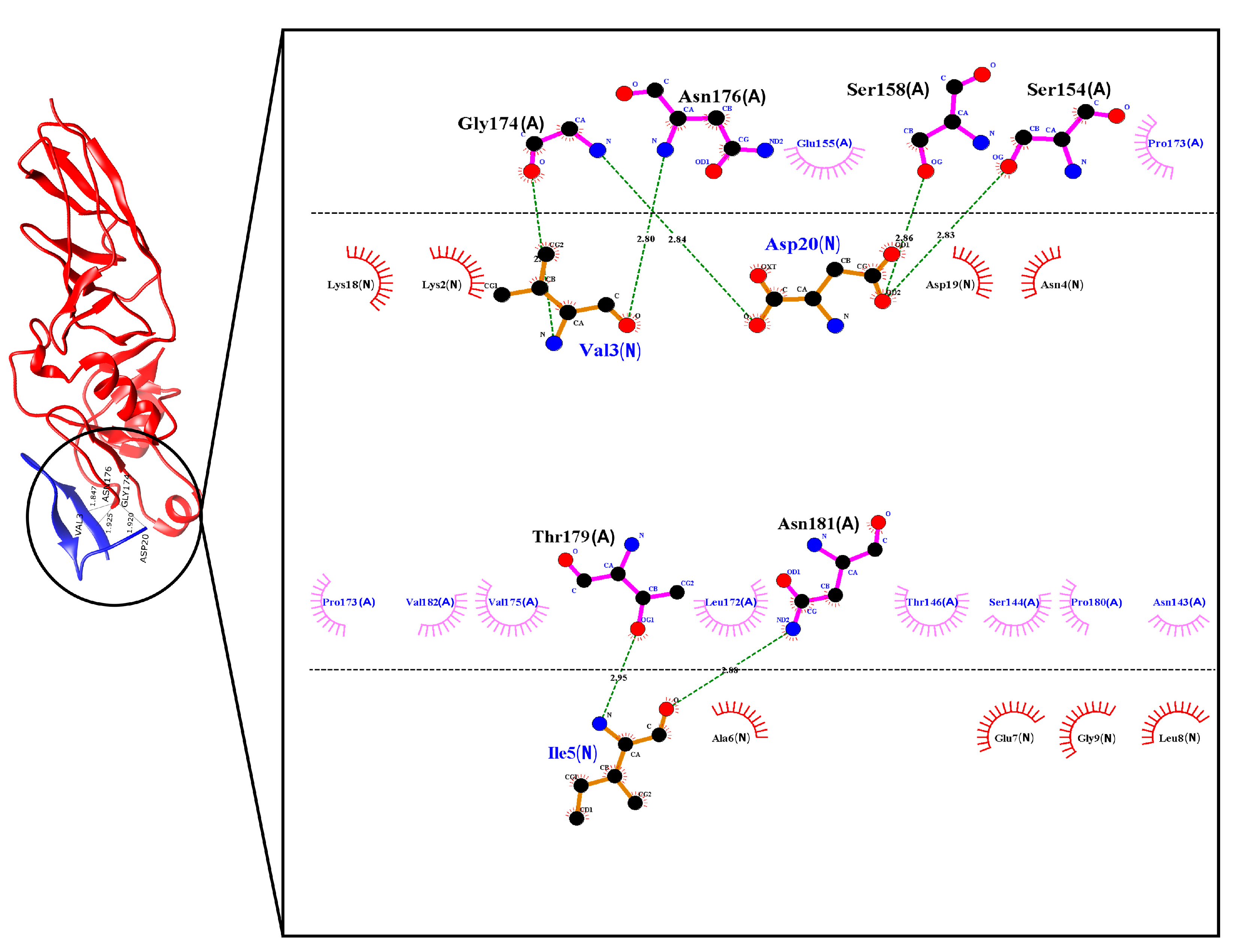 Molecules 26 02559 g003