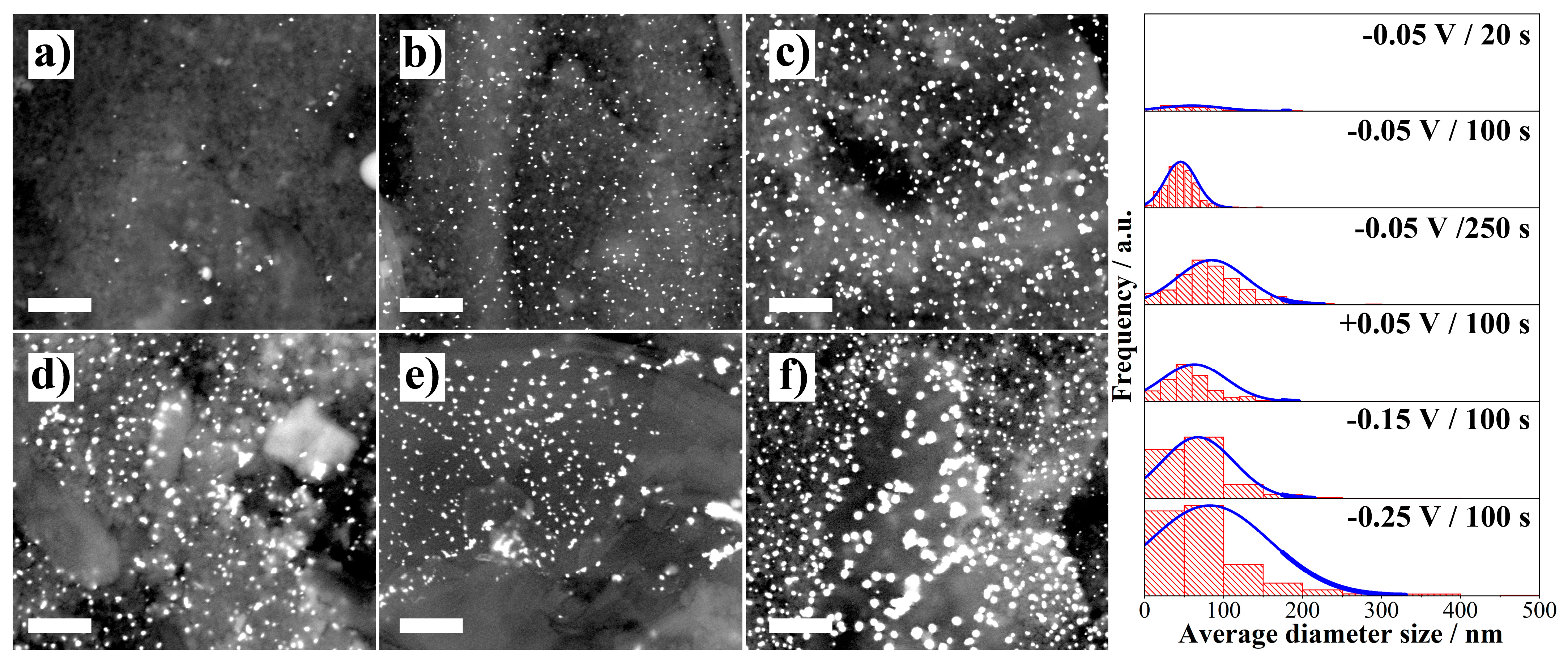 Molecules 26 02559 g005