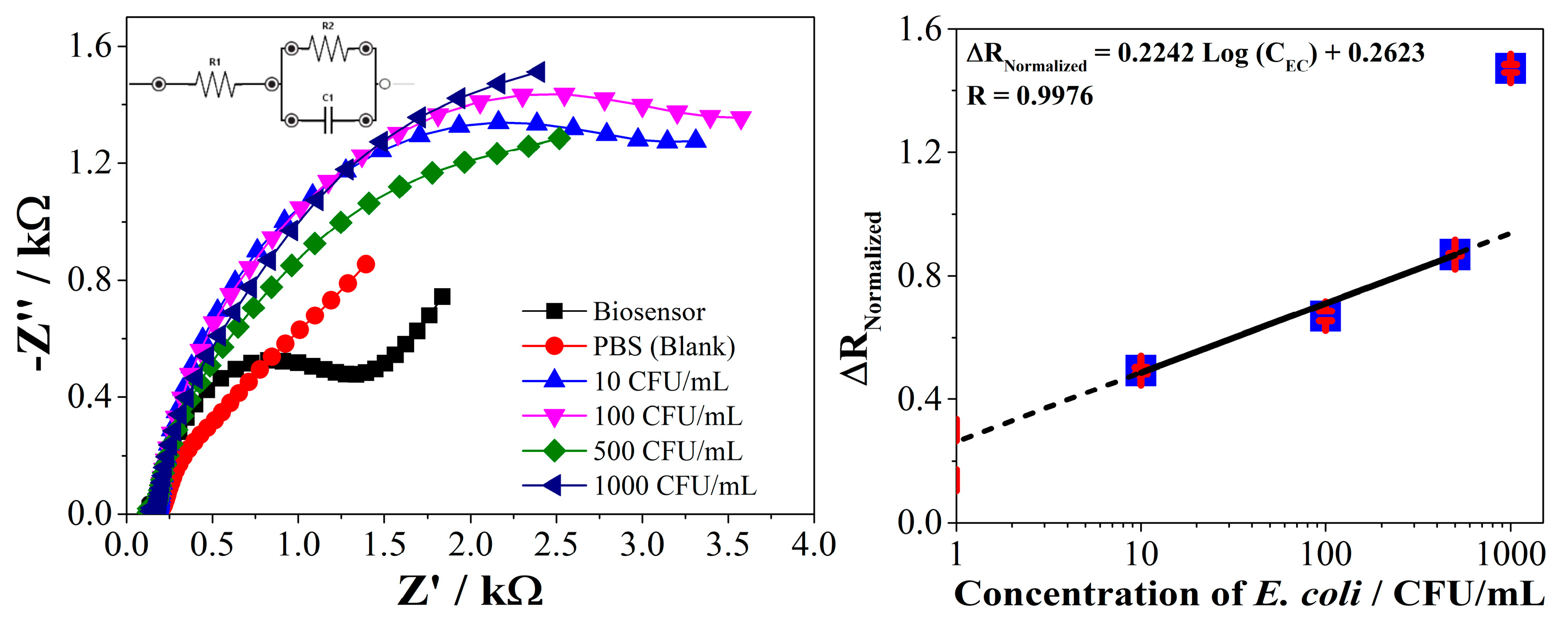Molecules 26 02559 g009
