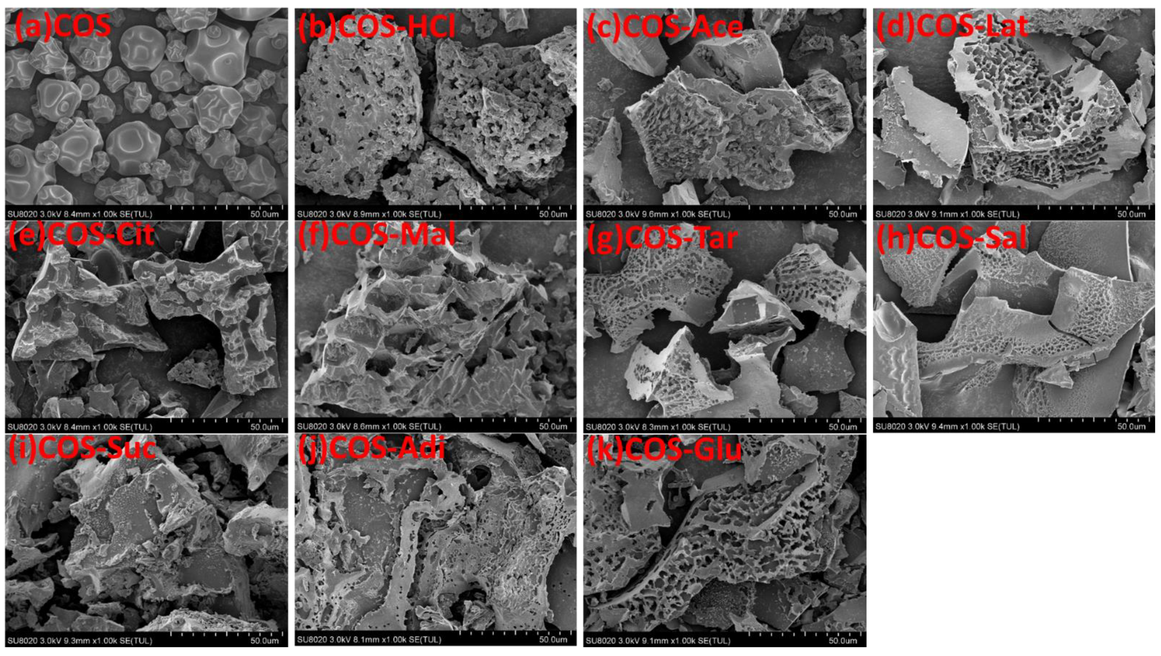 Molecules 26 02563 g001
