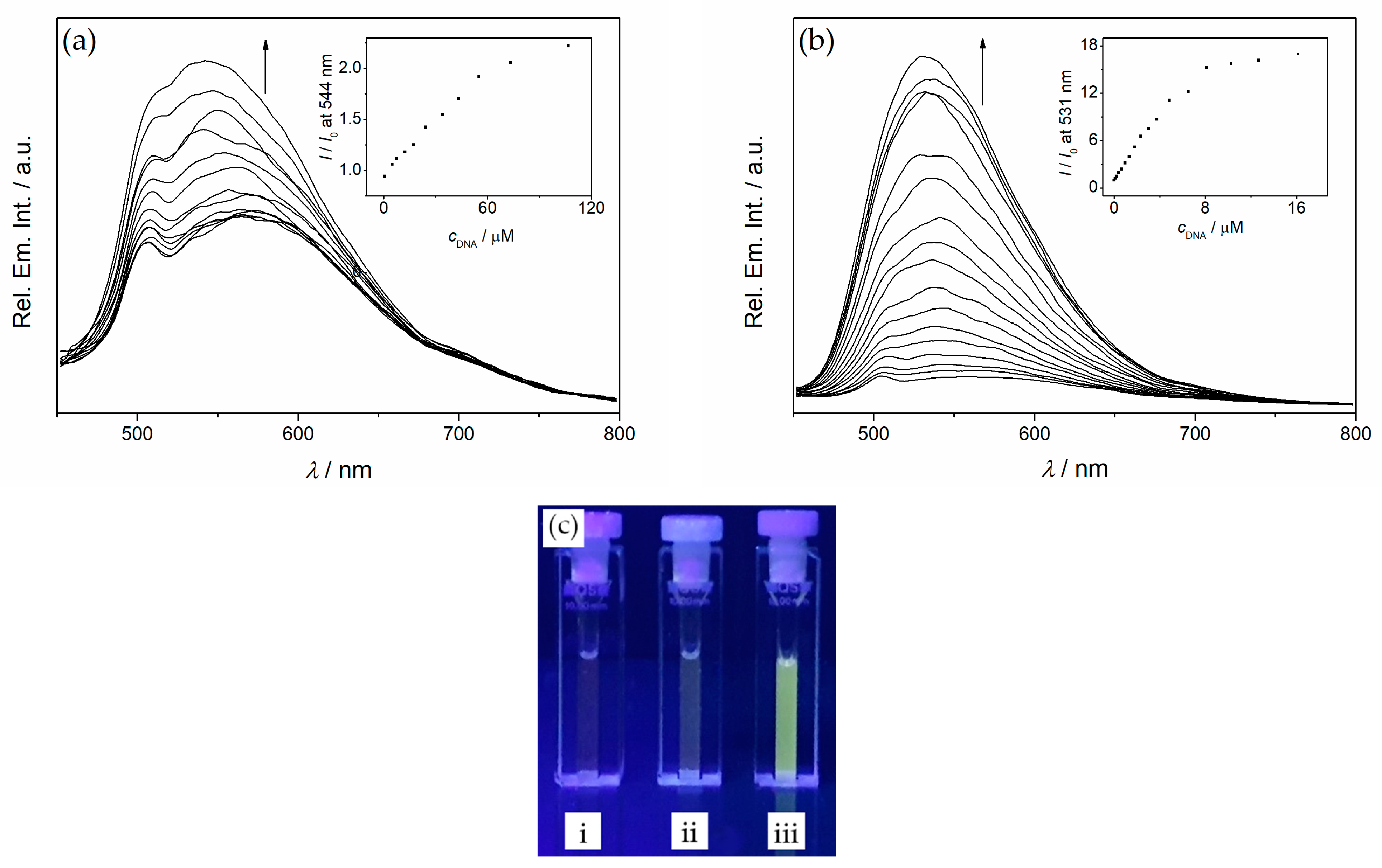 Molecules 26 02566 g006
