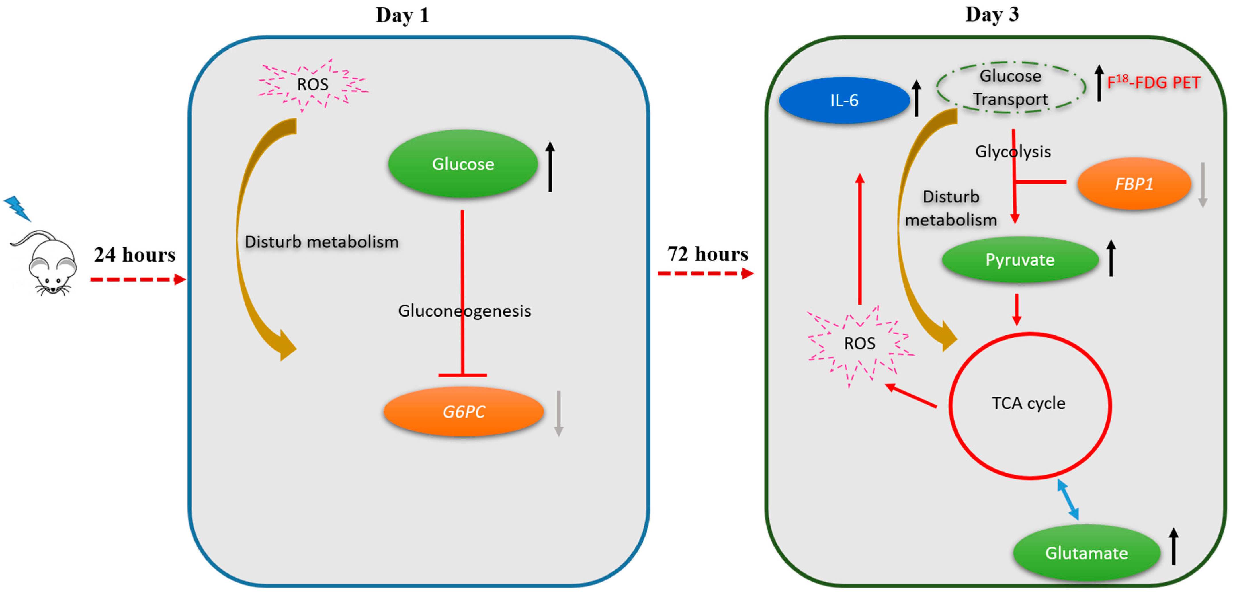 Molecules 26 02573 g005 Molecules 26 02573 g005