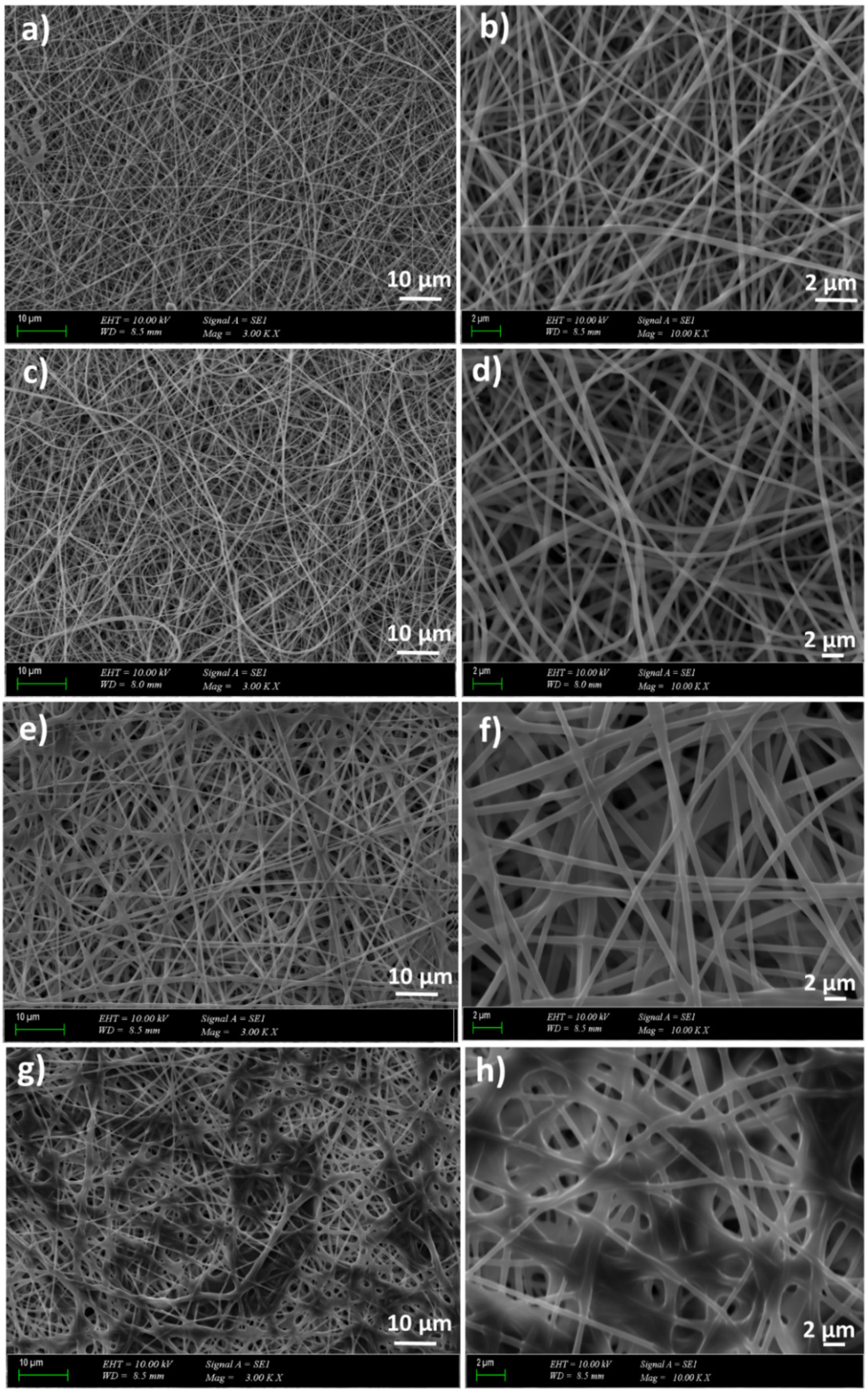 Molecules 26 02577 g002 Molecules 26 02577 g002