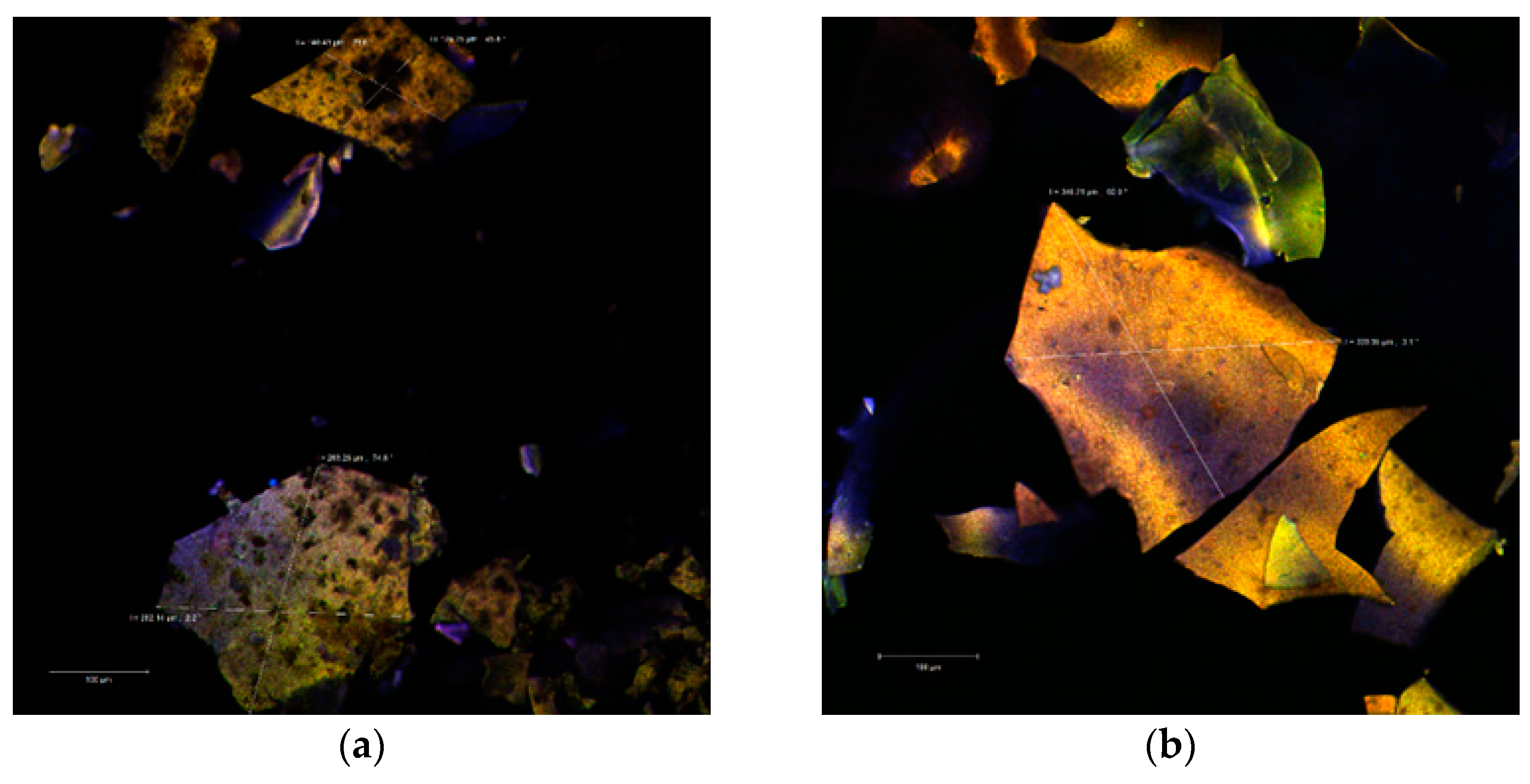 Molecules 26 02579 g002a