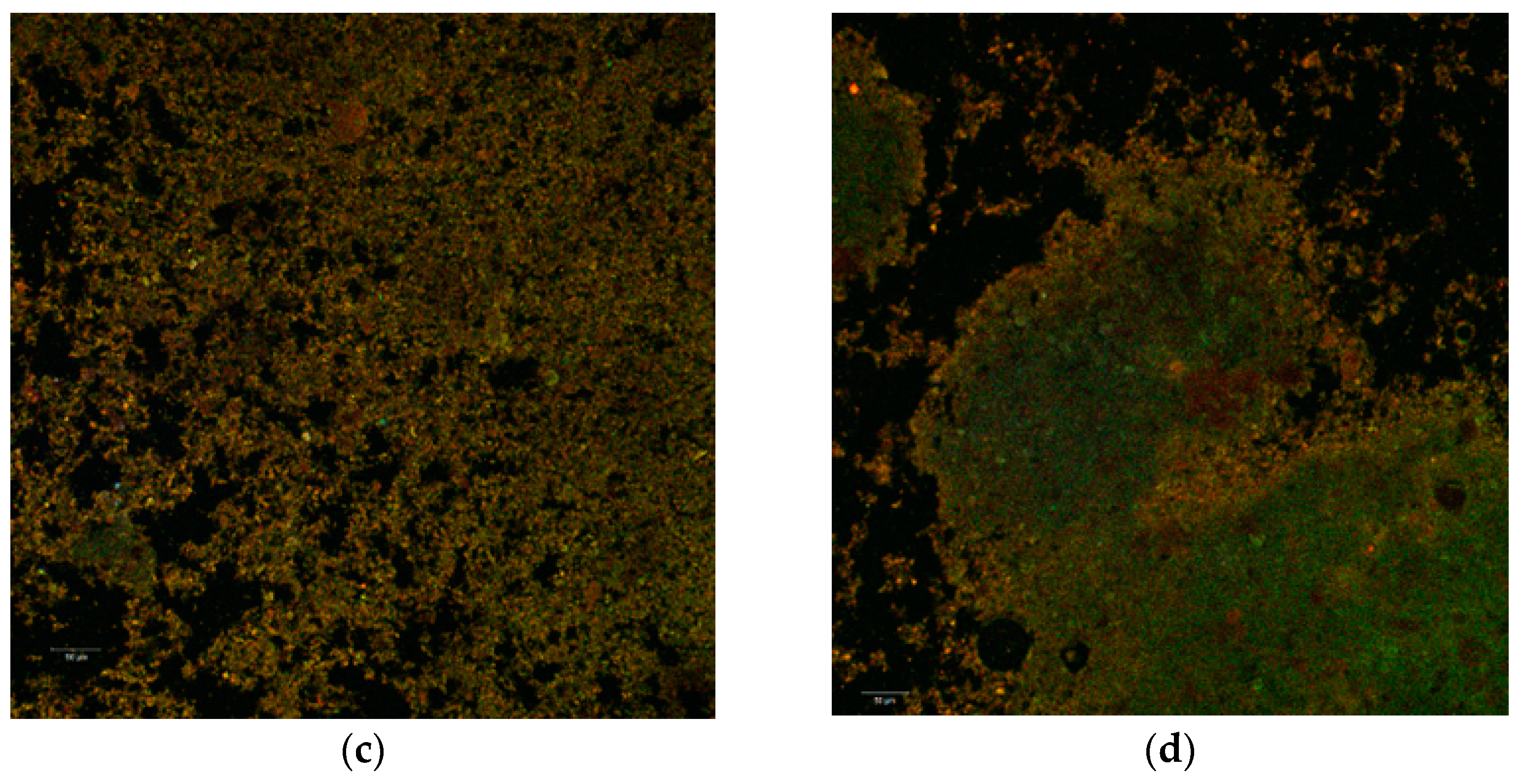 Molecules 26 02579 g002b