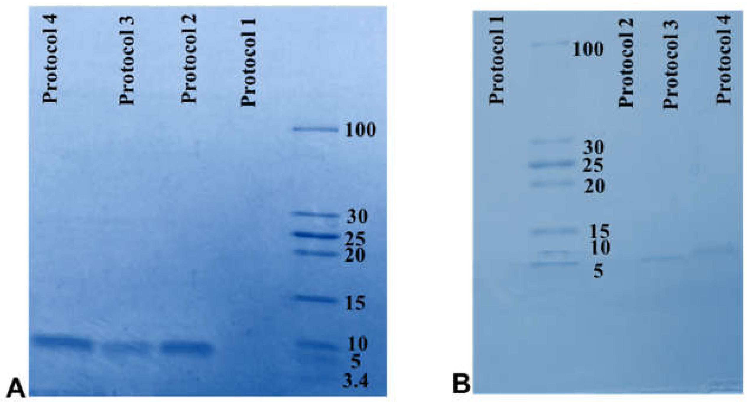 Molecules 26 02580 g004