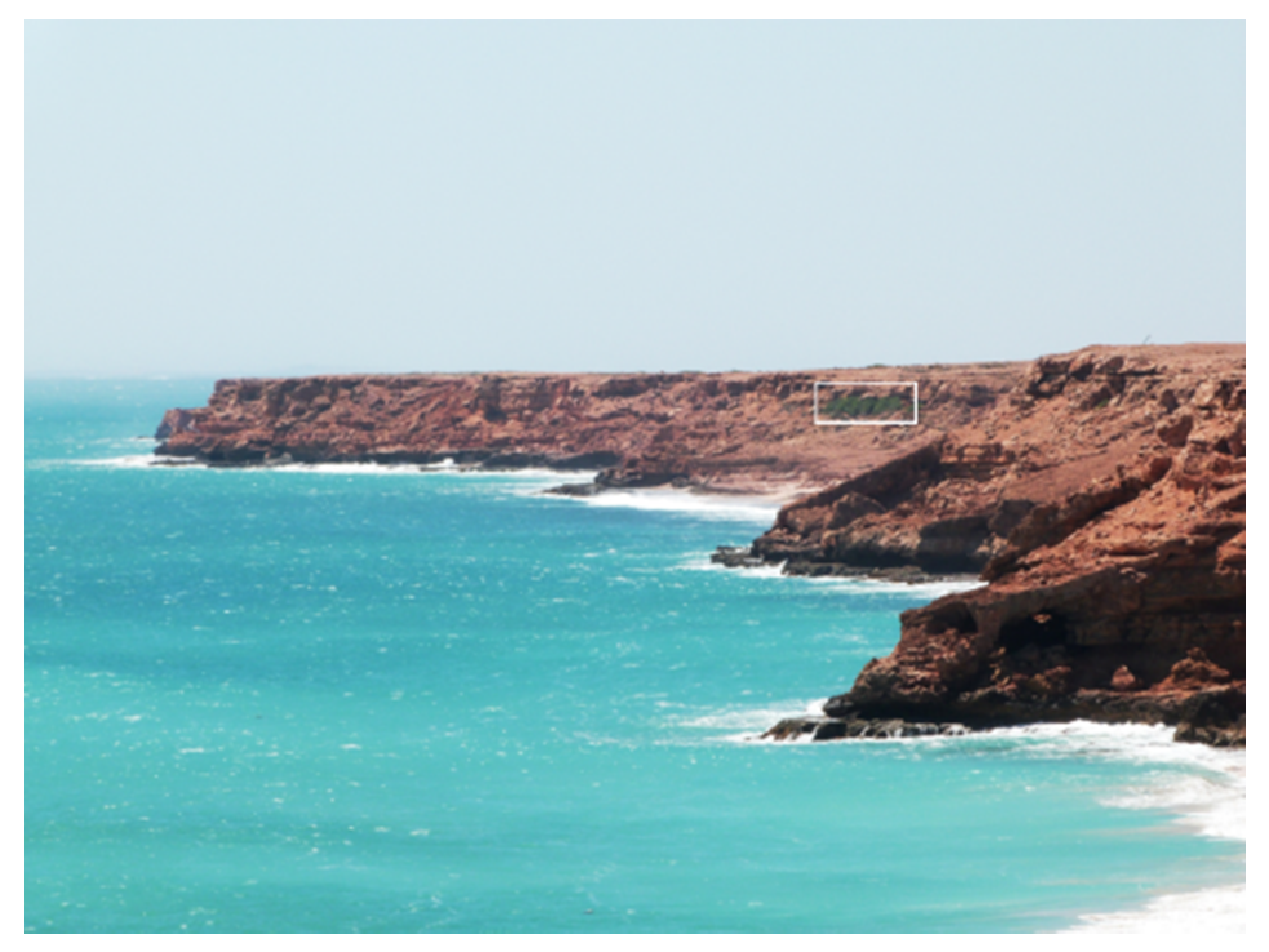 Molecules 26 02582 g002