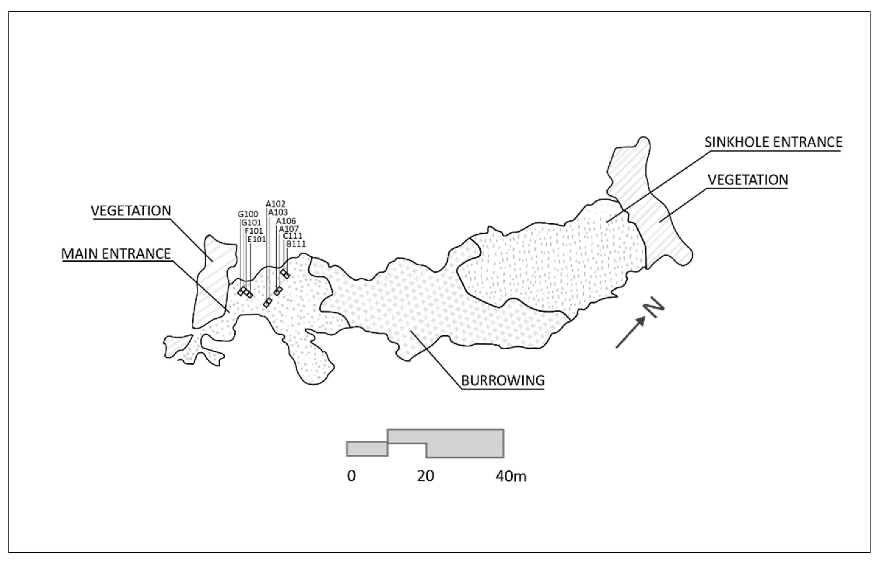 Molecules 26 02582 g003