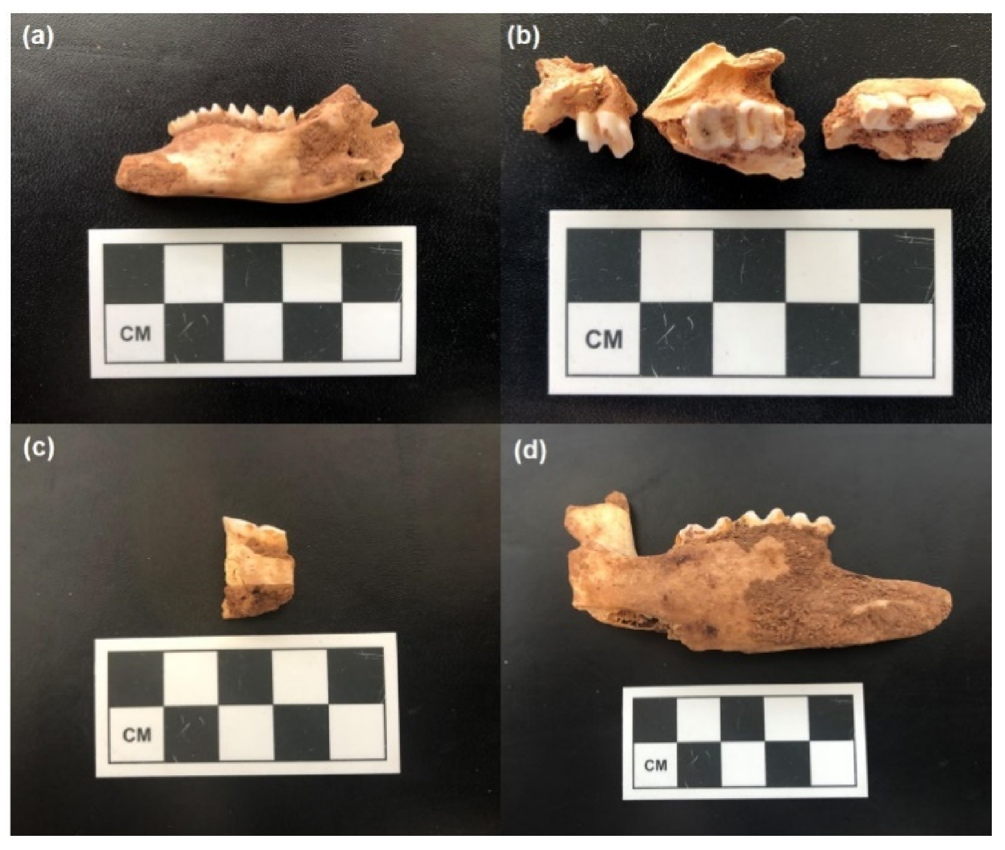 Molecules 26 02582 g004