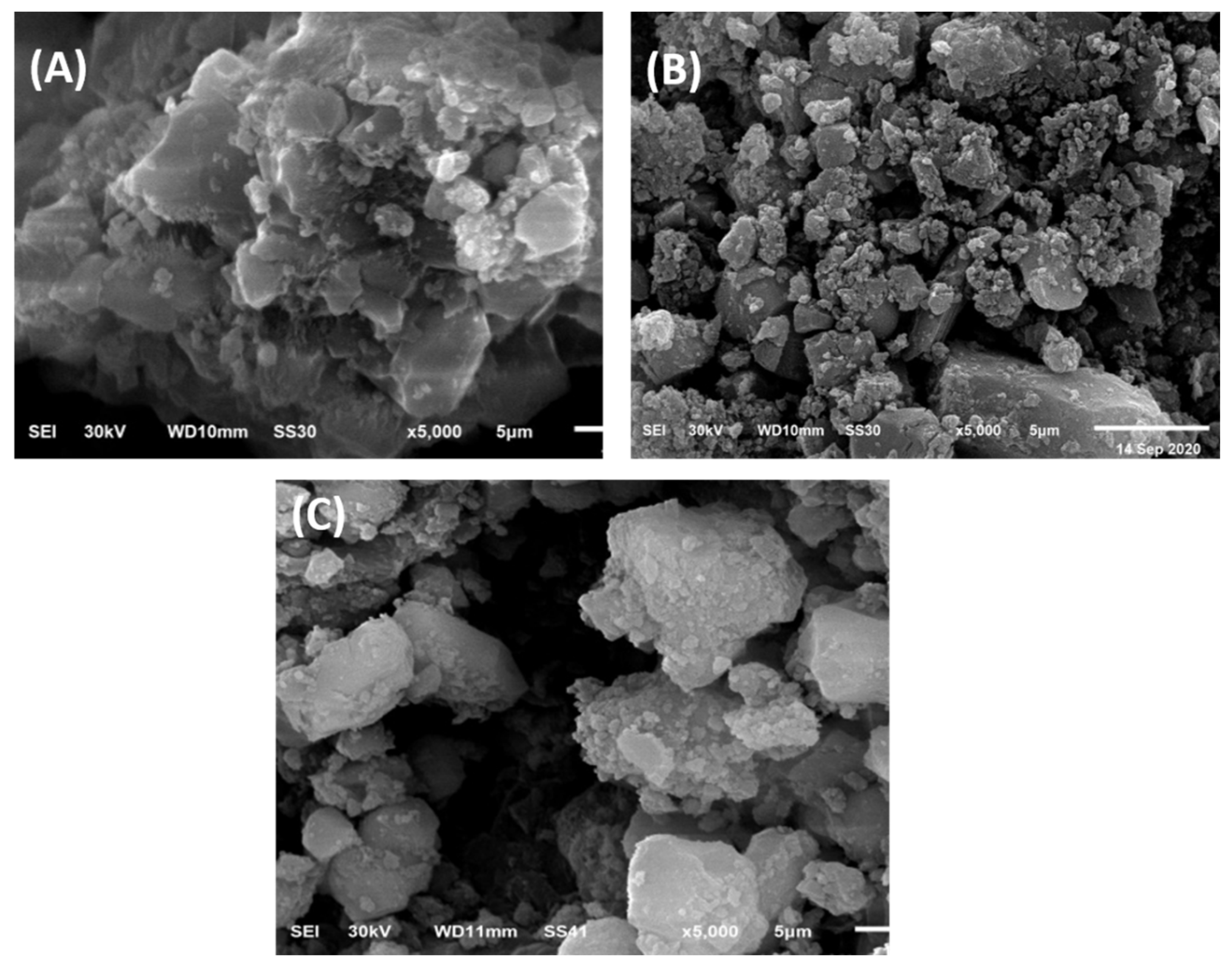 Molecules 26 02586 g002