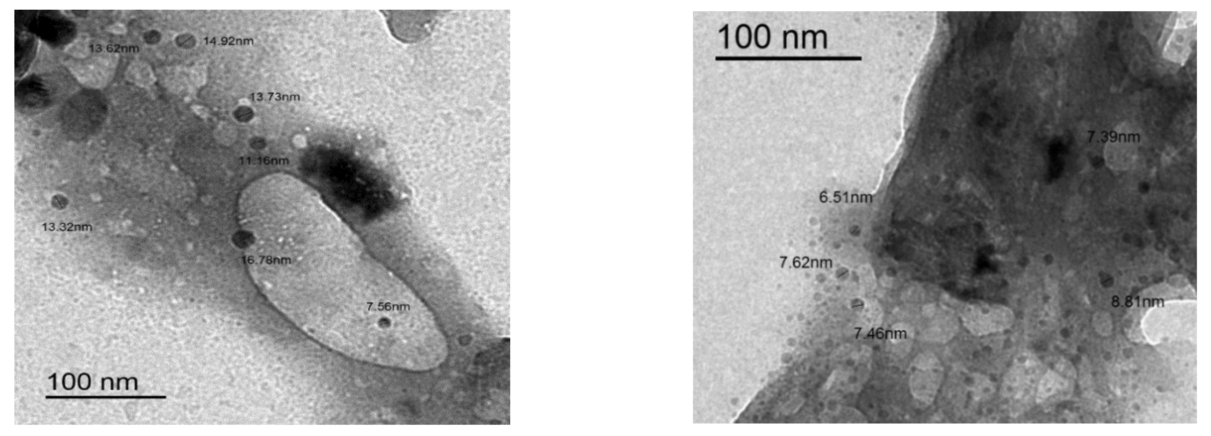 Molecules 26 02586 g003