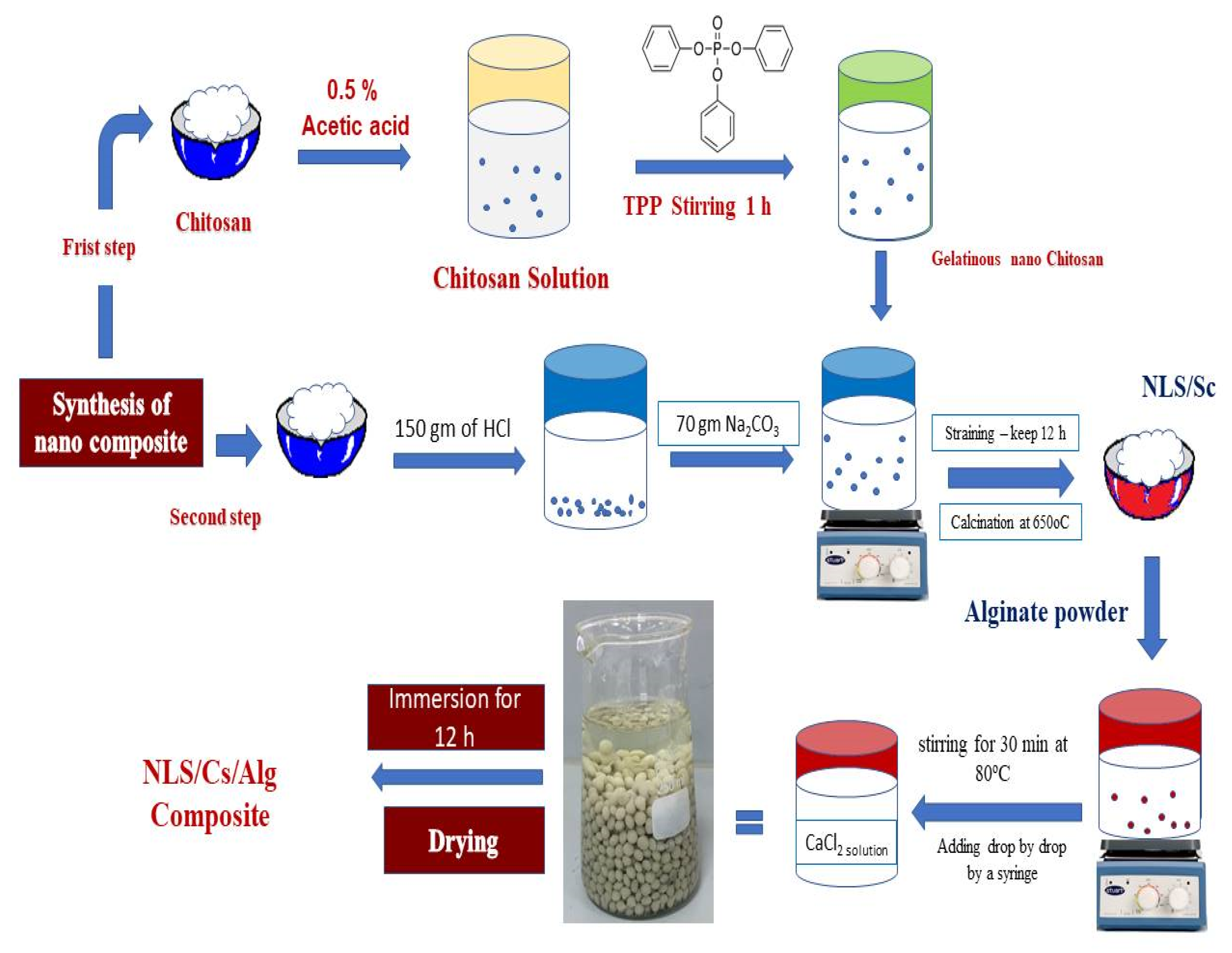 Molecules 26 02586 g006