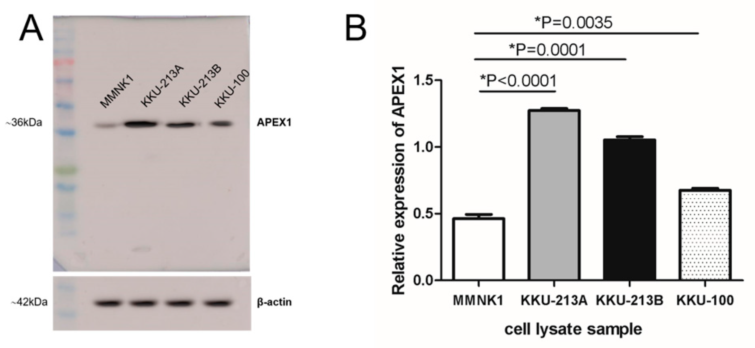 Molecules 26 02587 g001