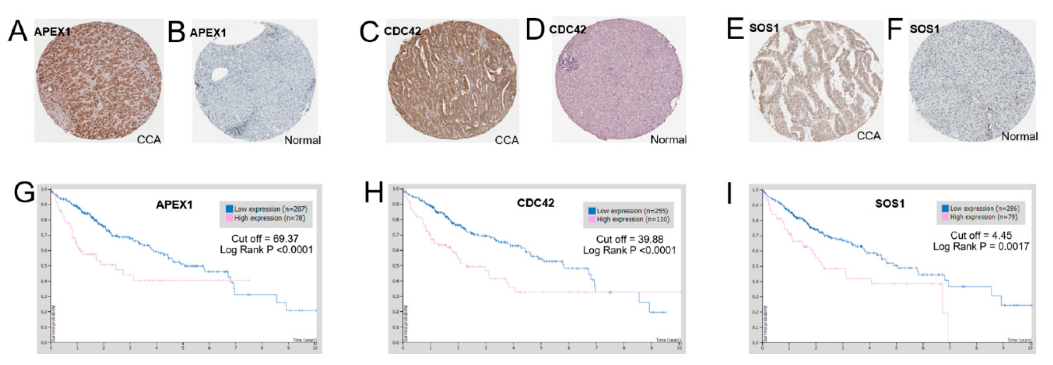 Molecules 26 02587 g007